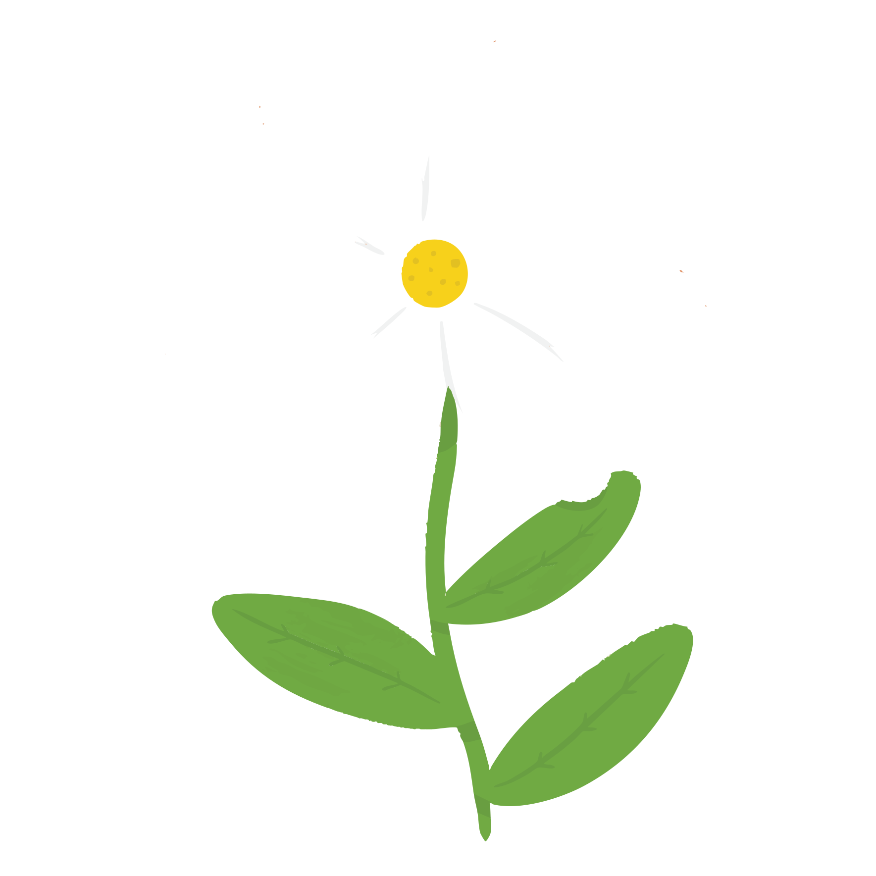 Magnificent Beginnings - Icon 3.png