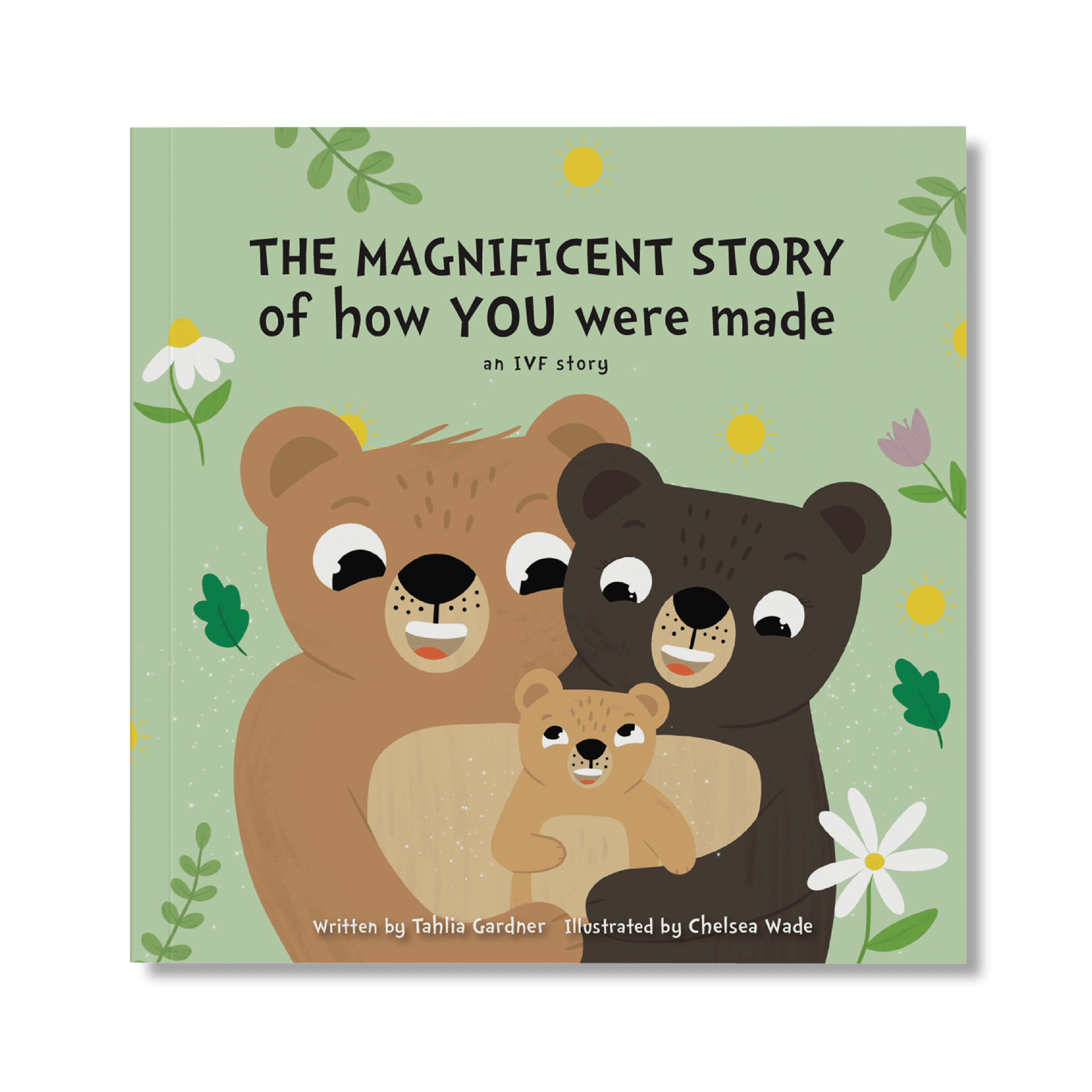 Front-Mockup_Magnificent-Beginnings.png