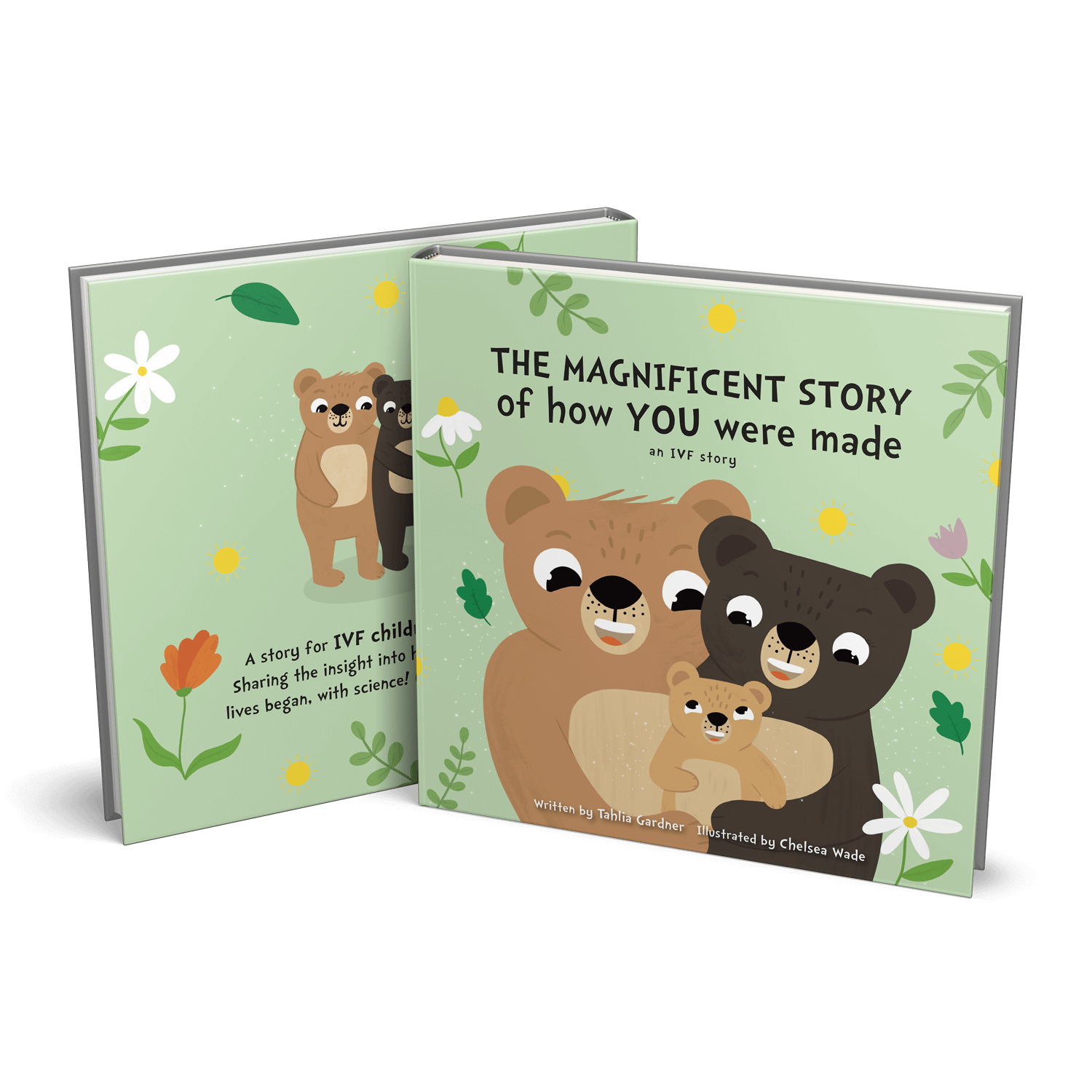 Mockup-Magnificent-Beginnings.png