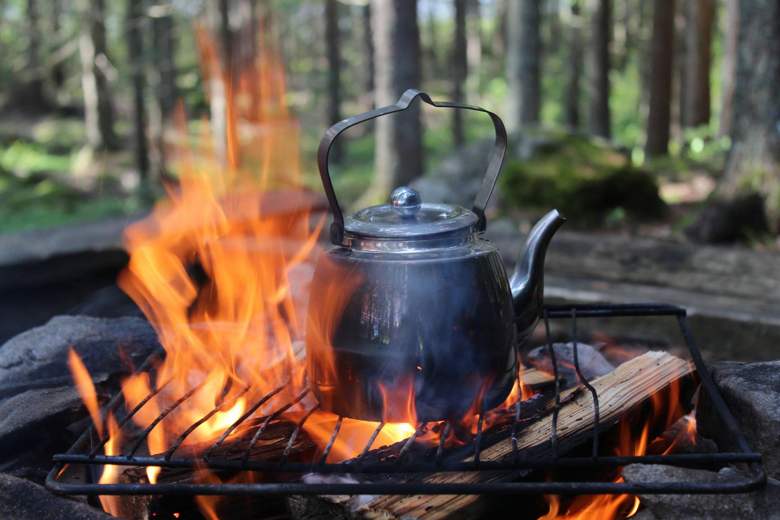 Yang Sheng: Nourishing Life Through Everyday Care