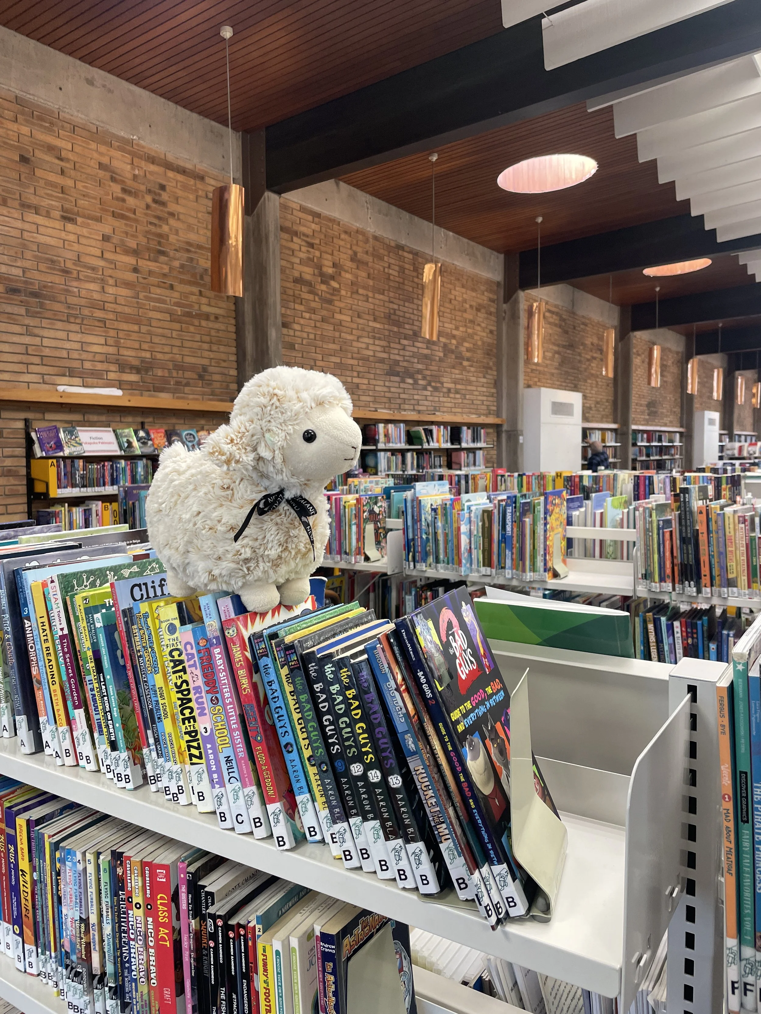 Sheepy sitting on top of the bookshelves at the local library