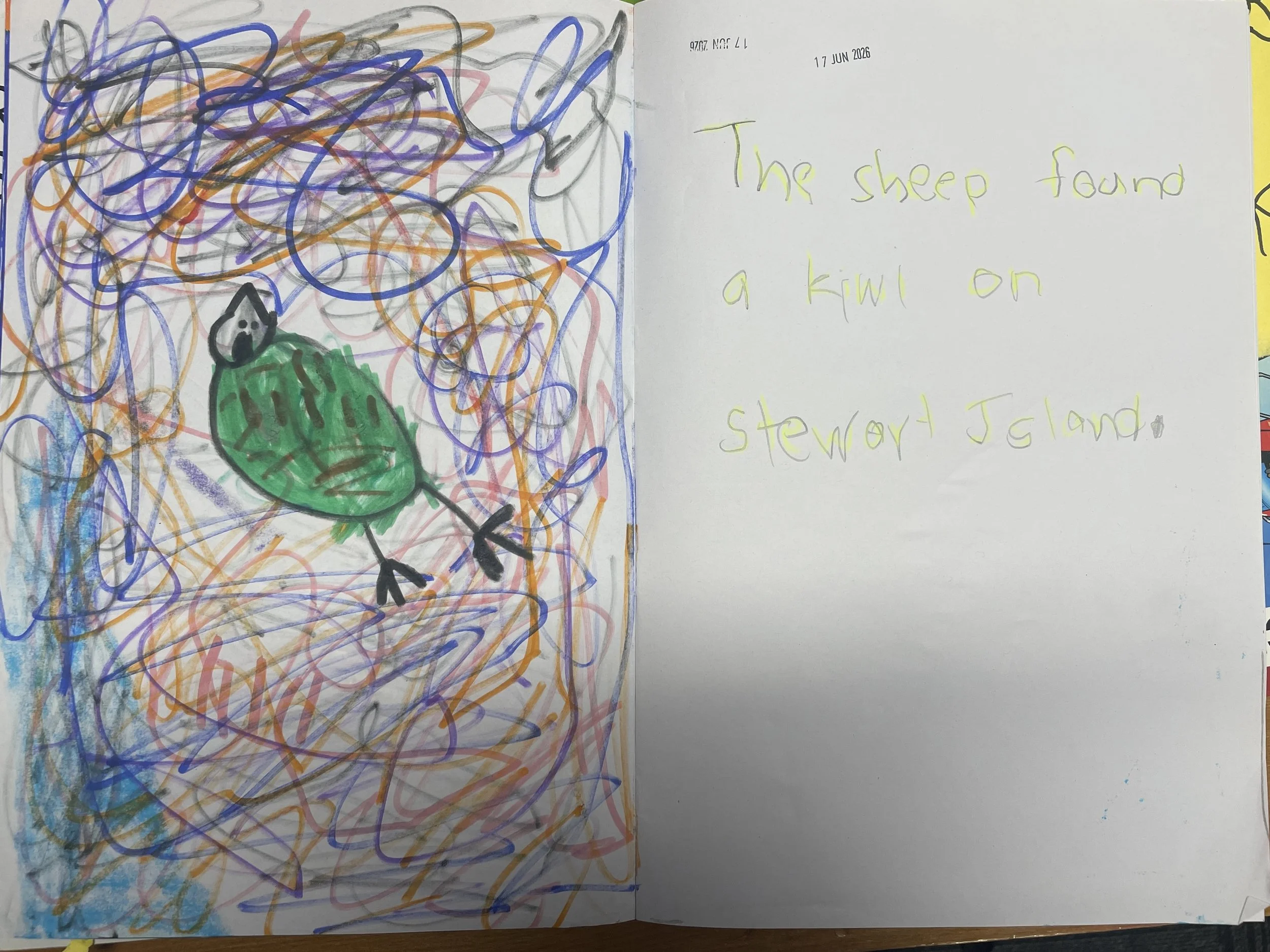 Student writing: The sheep found a kiwi on Stewart Island