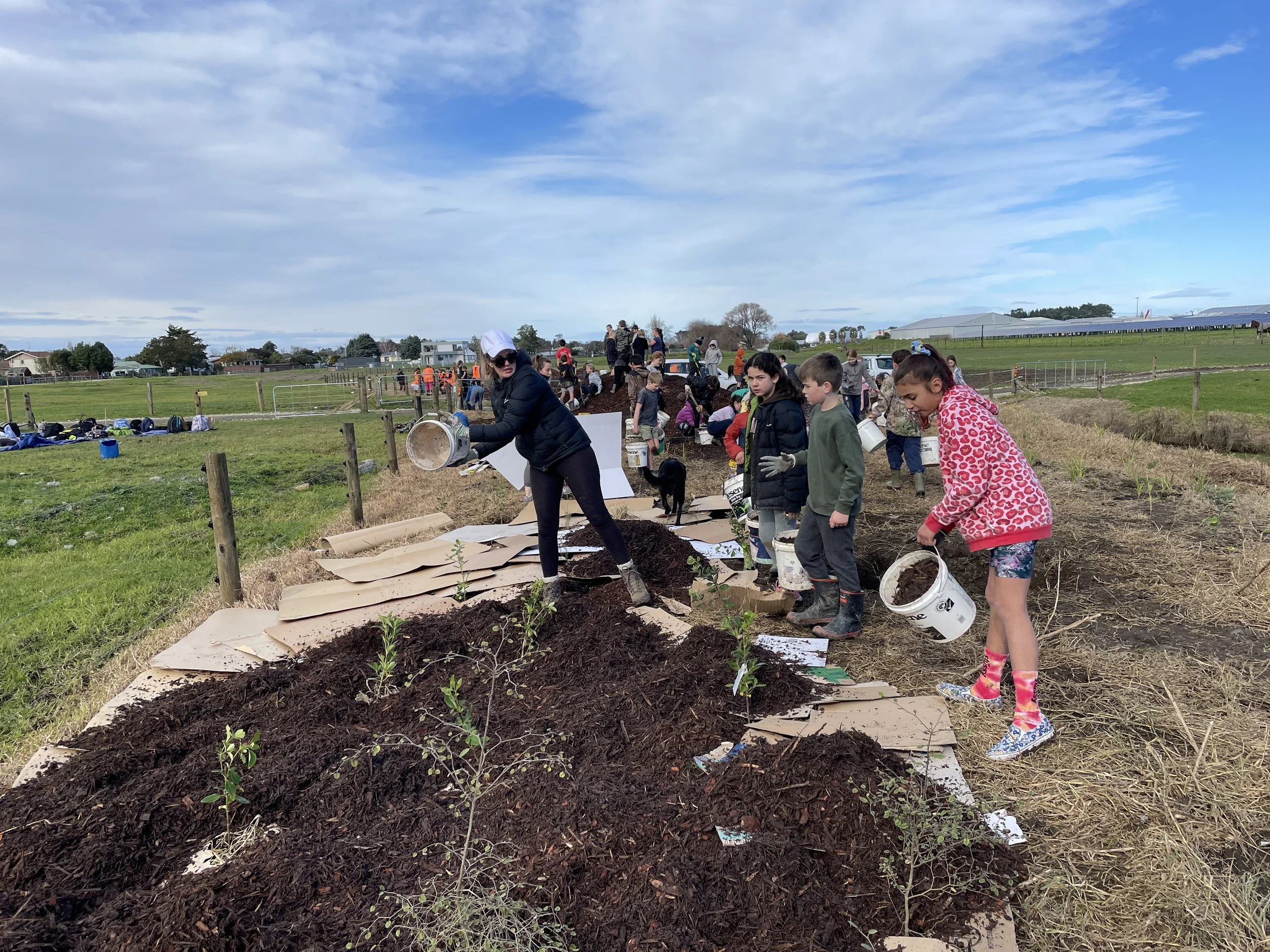 People planting new plants in a garden outside
