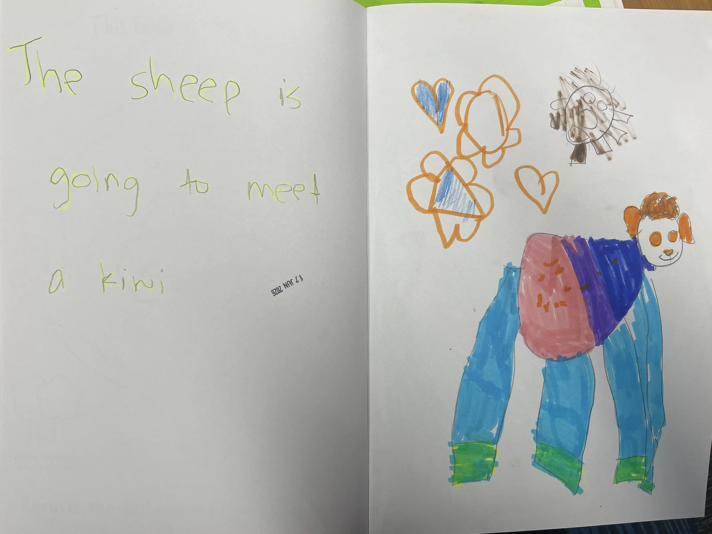 Student writing: The sheep is going to meet a kiwi.