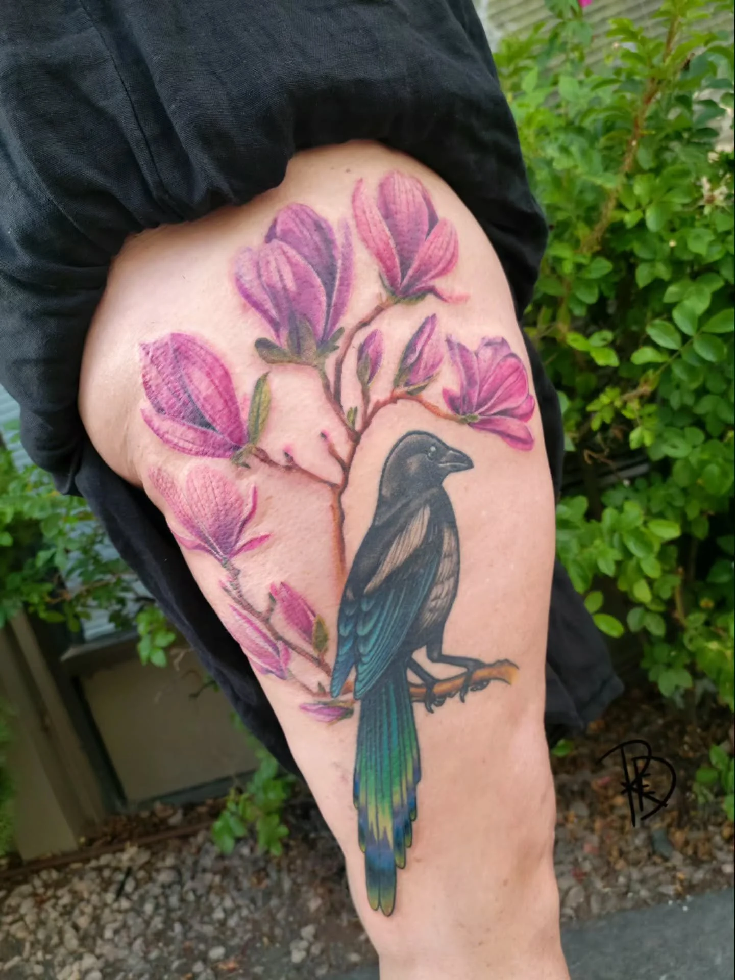 🌹Magpie and Magnolias🌹

Magpie is ✨️healed!✨️

I love adding onto and building projects (in this case I did the previous piece we added to as well). It is so nice to work with the flow of the body, unique to each person!

Thank you always!

*
*
*
*