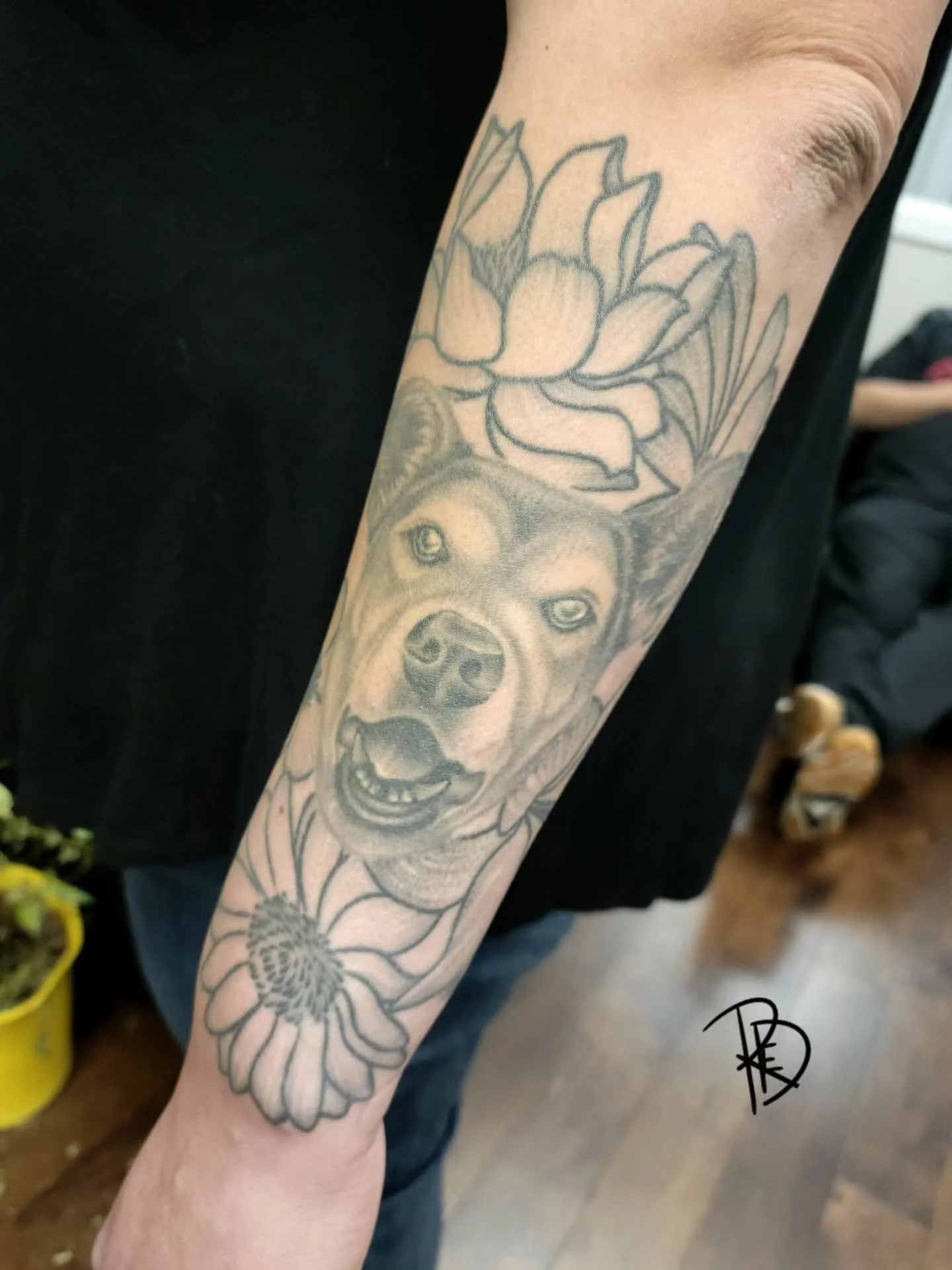 ❤️4 Year Settled/Healed Memorial❤️

I absolutely love seeing all your healed work! Thank you always for the continued trust. I cant wait to see it in another 4 years!

*
*
*
*
*
*
*
*

#kamloopstattoo #ink #inked #inkedgirls
#girlswithtattoos #girlsw