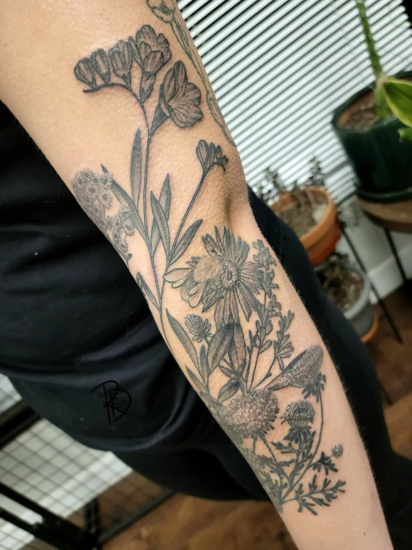 🌹Wild Flowers🌹

Adding to pre-existing pieces can really emphasize and frame it all so nicely! We finished the hprse portrait some years ago so that is settled and happy! 

Scarcovers are beautiful and resilient ❤️

Thank you for the trust as alway