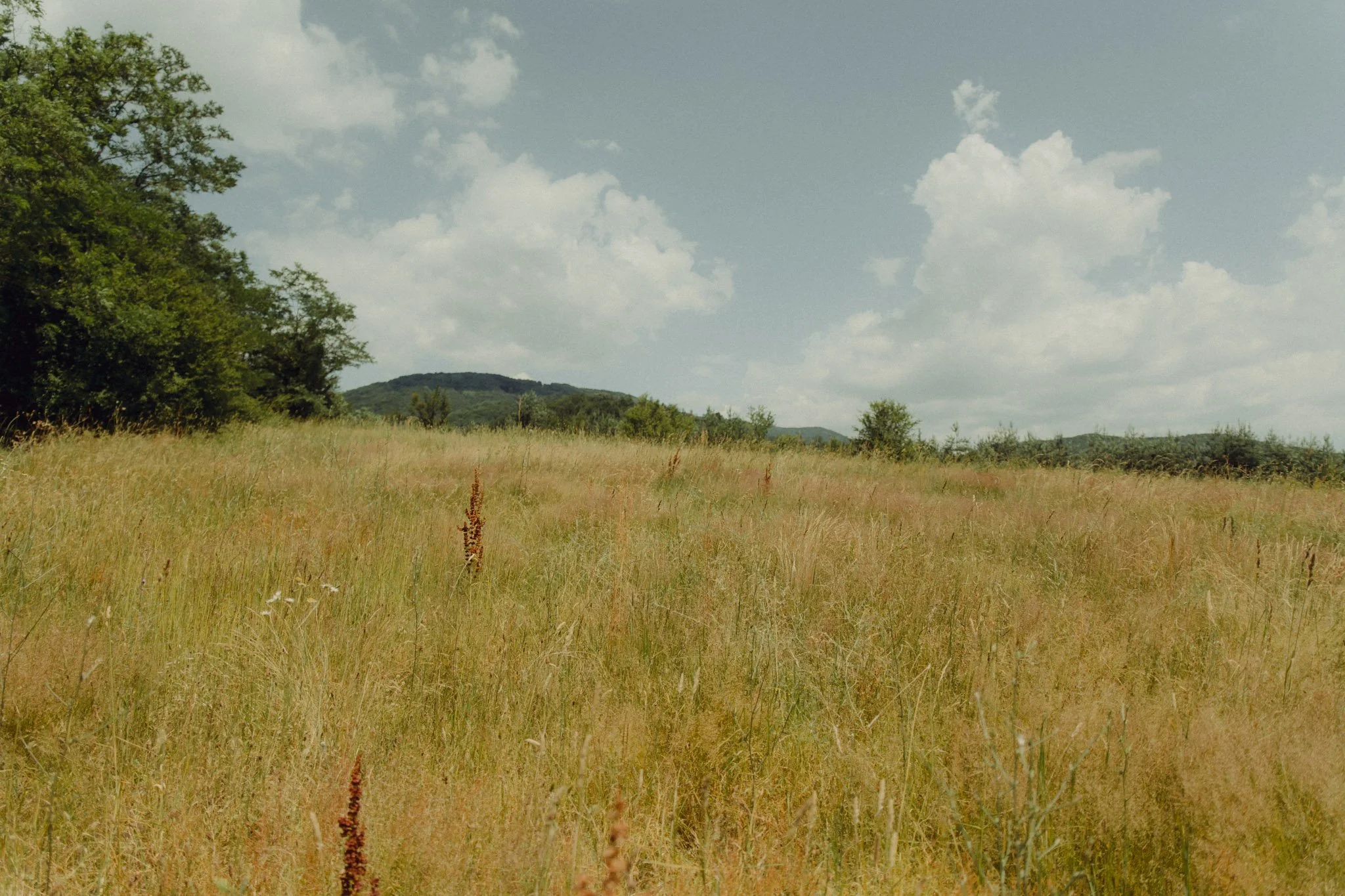 Mery Nasko mzphotostory 9.JPG