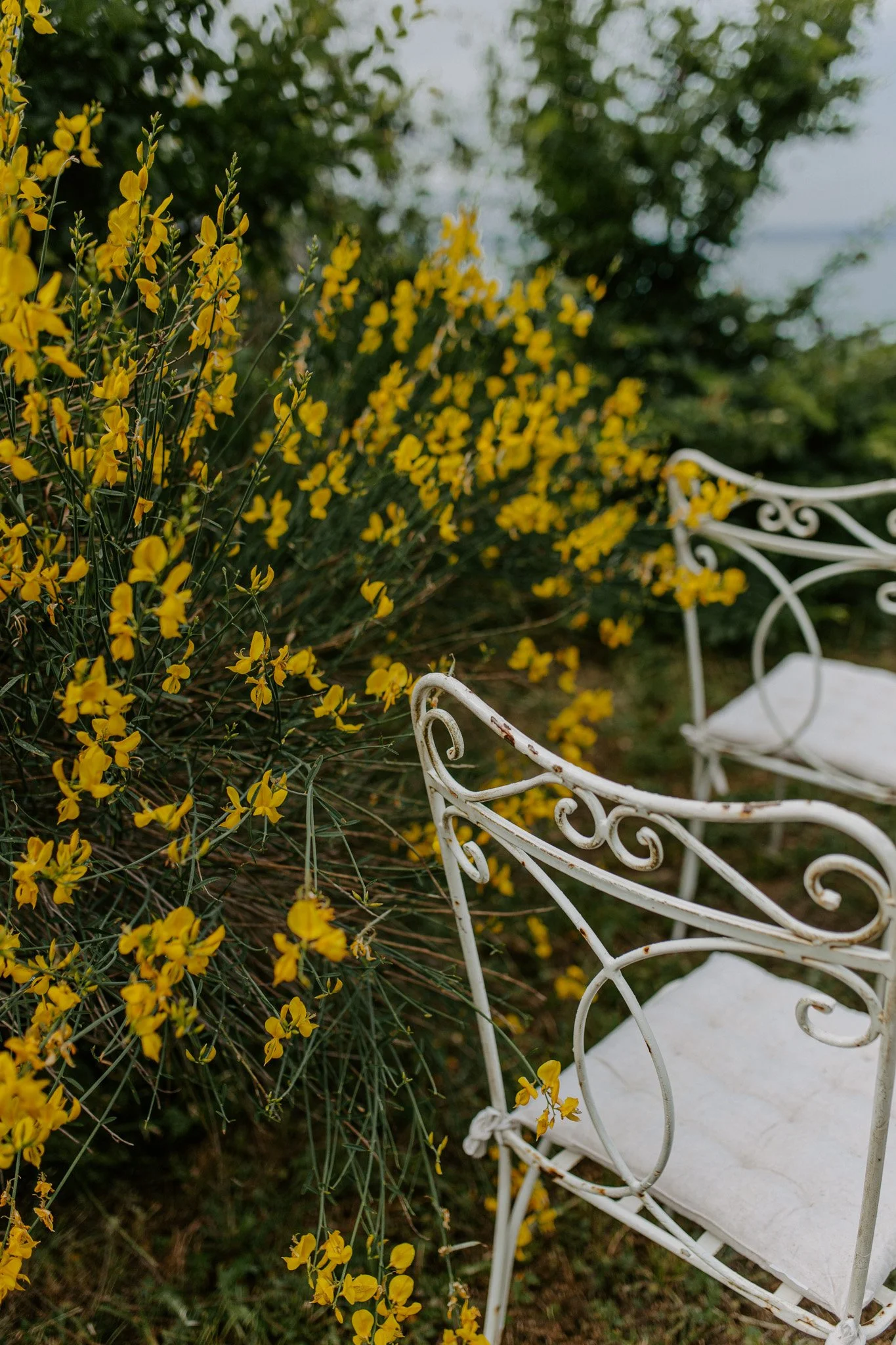 Сватбена фотография Бургас 03.jpg