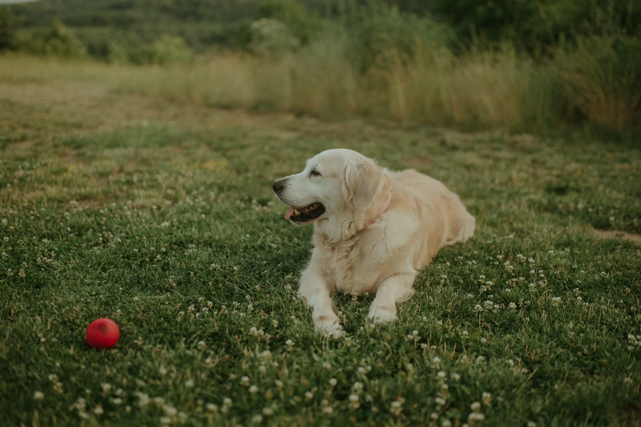 Mery Nasko mzphotostory 83.JPG