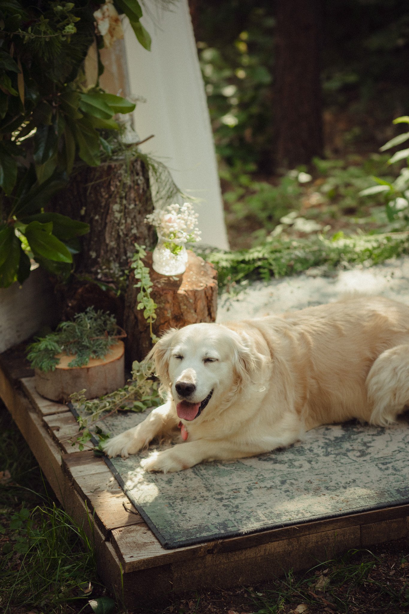 Mery Nasko mzphotostory 45.JPG