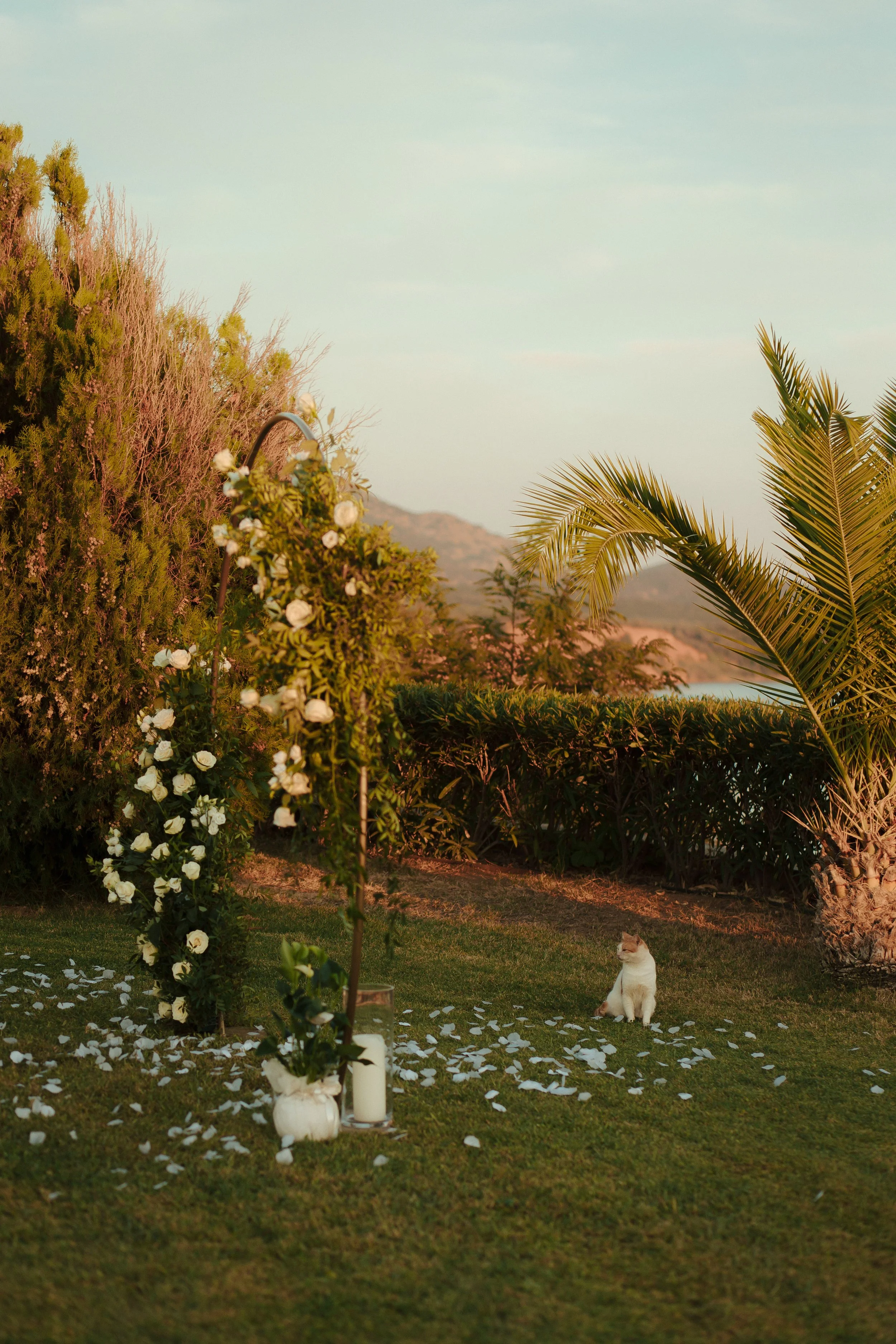 Фотосесия залез-59.jpg