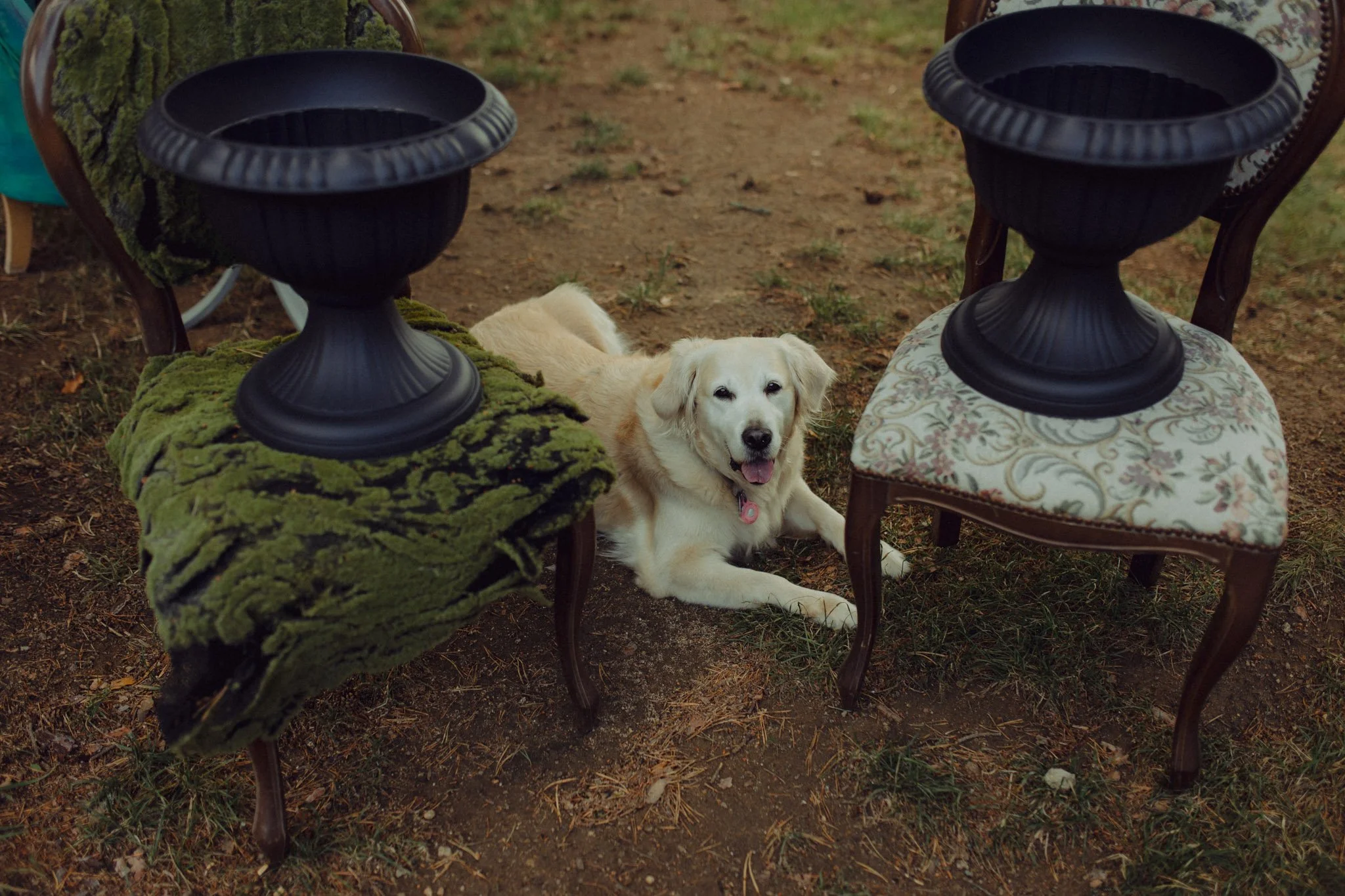 Mery Nasko mzphotostory 5.JPG