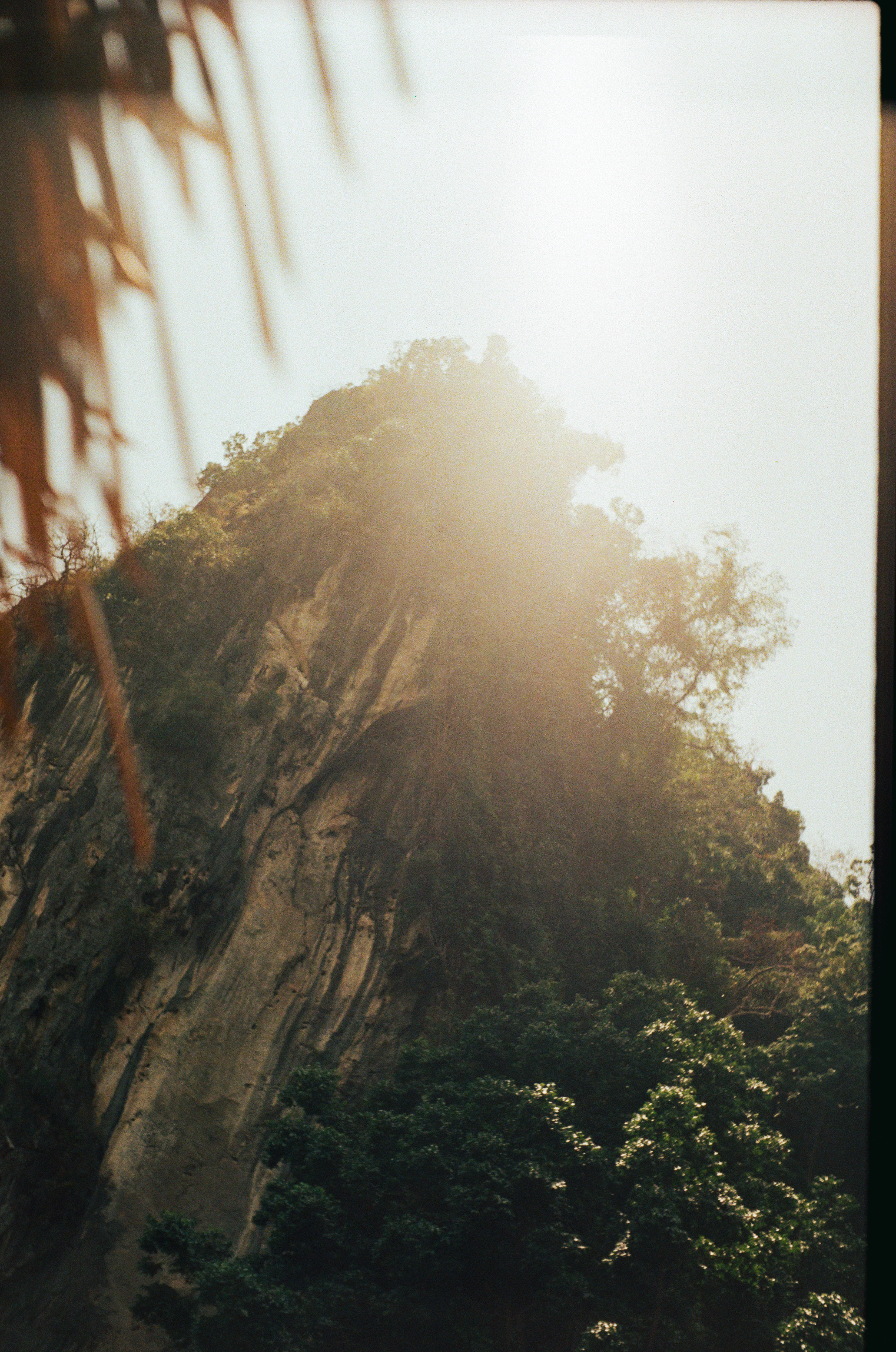 Thailand_On_Film_4.png