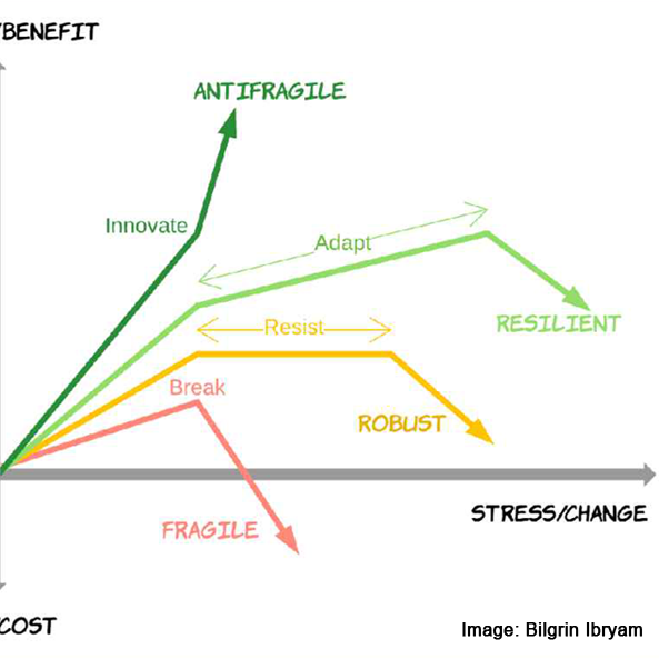 Being resilient or antifragile?