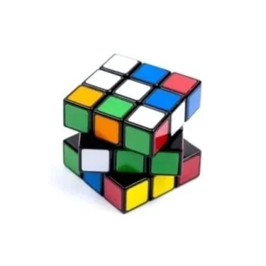 Developing your intelligences to succeed in a complex world