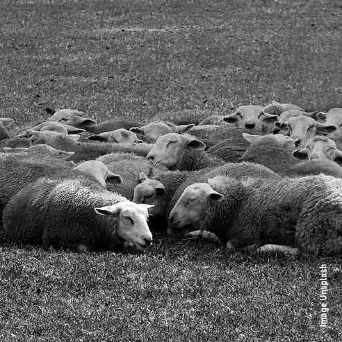 I’m a nonconformist, and I embrace it