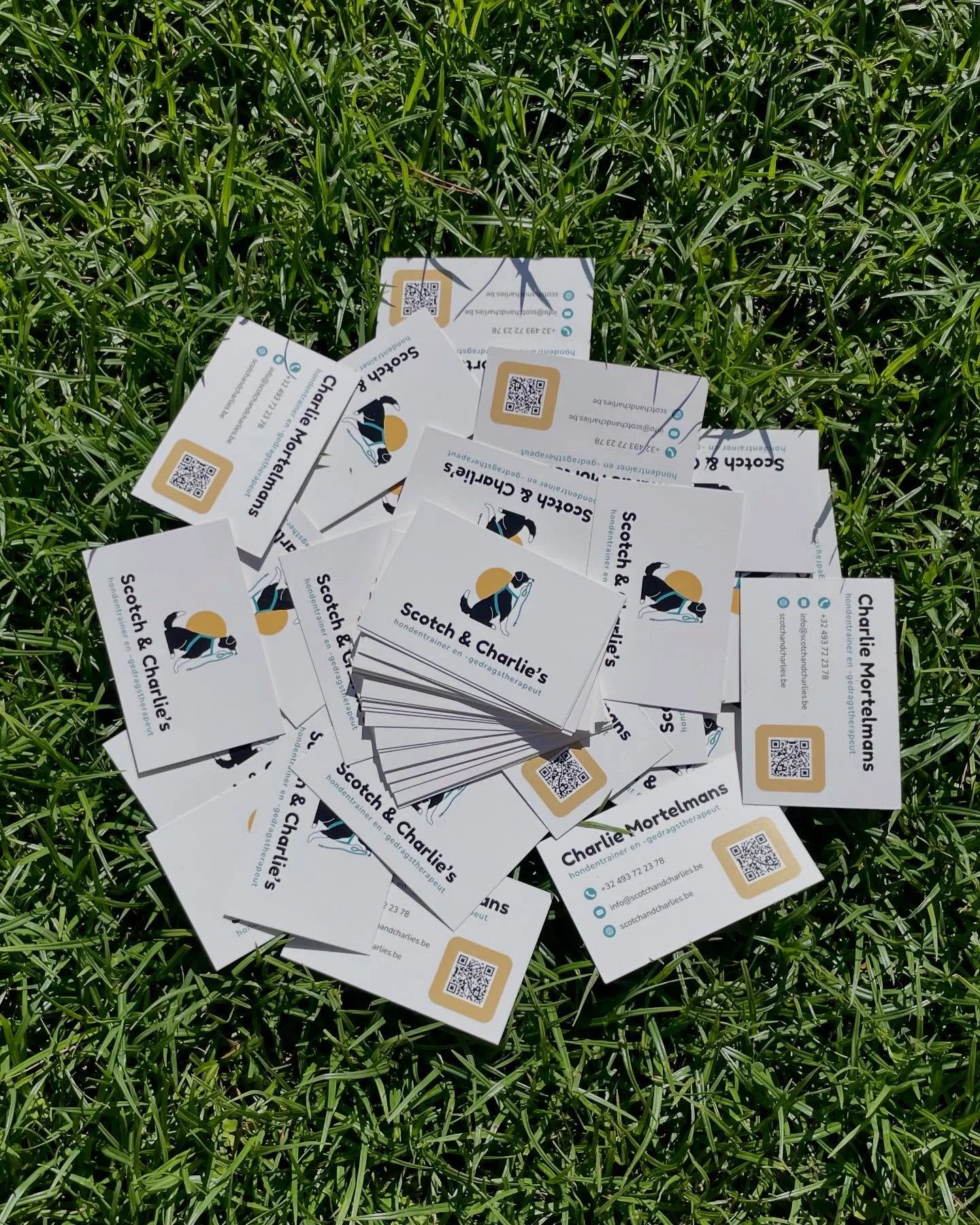 Onze businesskaartjes zijn er! 🤩

Klein van formaat, maar boordevol betekenis: elk detail weerspiegelt wie we zijn en waar we voor staan. Helder, professioneel en altijd met een hart voor hond &eacute;n mens. Alles wat je moet weten om ons terug te 