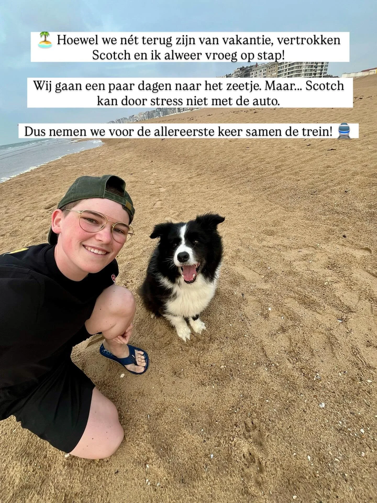 Zee? Ja! Auto? Nope&hellip; 🙂&zwj;&harr;️ 

Niet elke hond springt vrolijk in de auto&hellip; En dat is ok&eacute;!
Voor onze trip naar zee namen Scotch en ik dan ook voor de allereerste keer de trein, m&eacute;t wat slimme voorbereiding om het voor