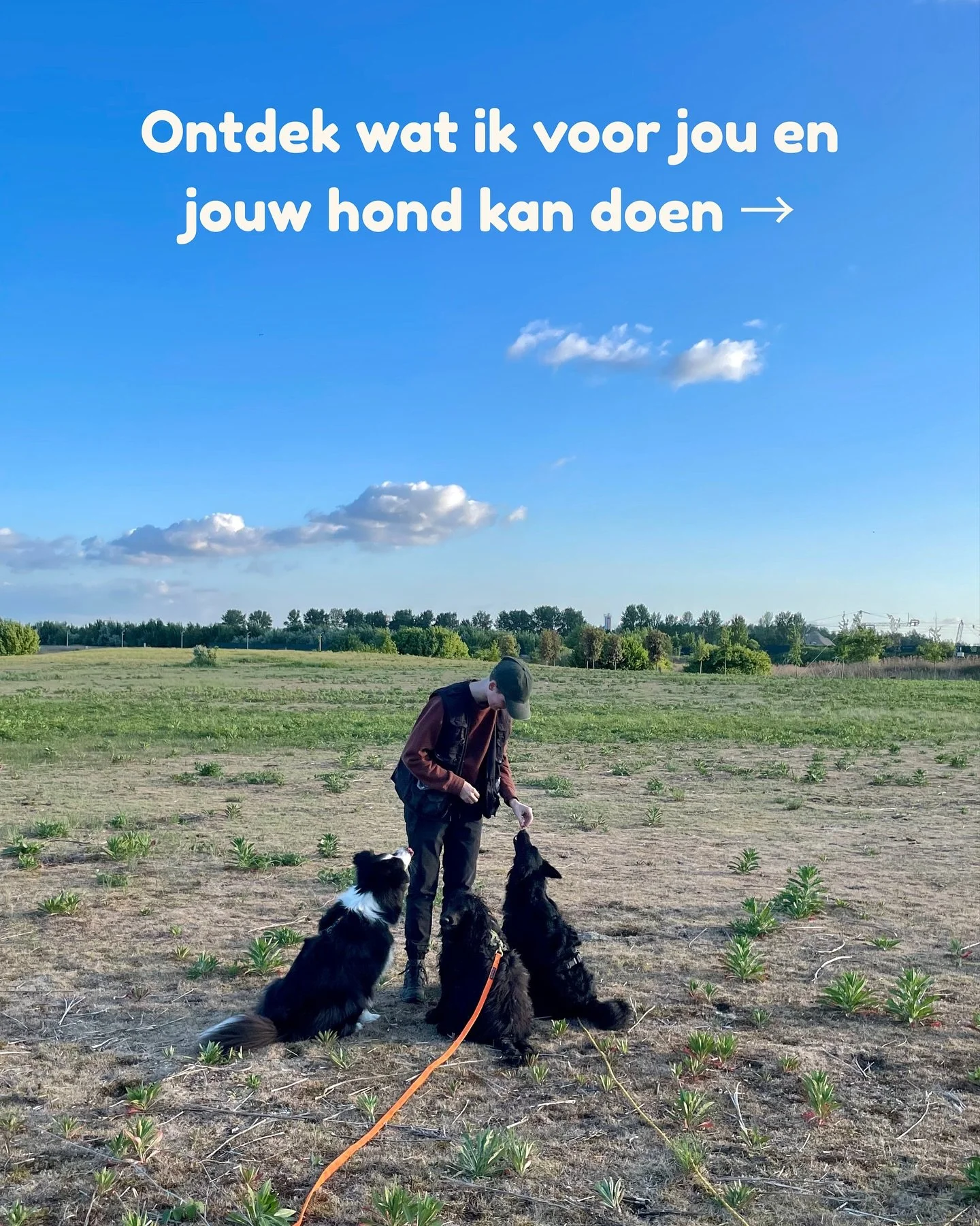 Klaar om samen aan de slag te gaan? 💛
Plan een kennismaking via de link in bio of stuur ons gewoon even een berichtje!