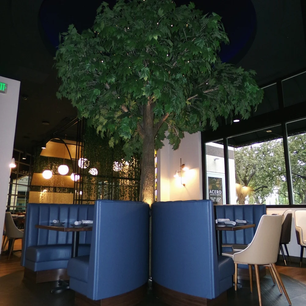 Acero's dining room with the tree