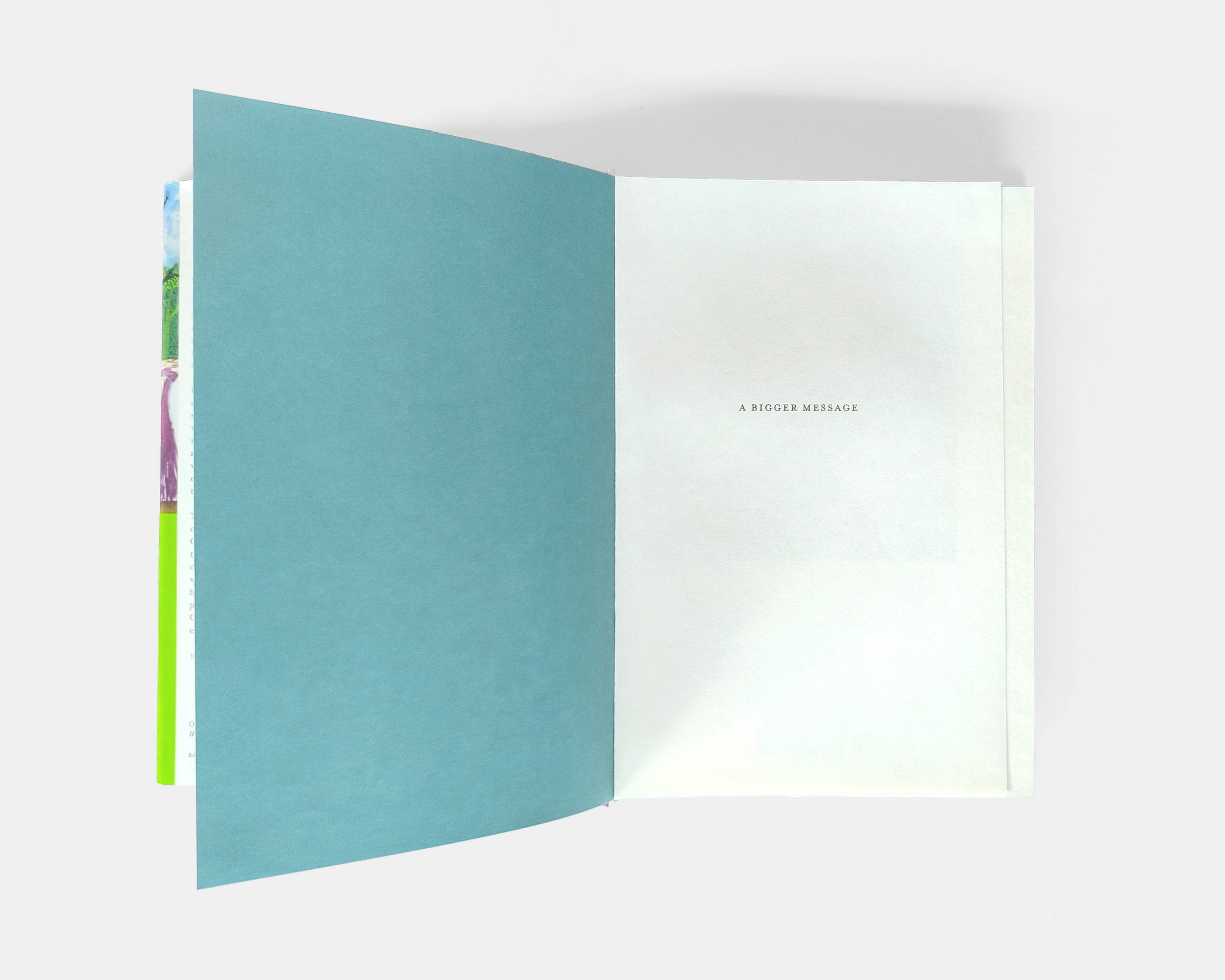 David Hockney Half title page.jpg