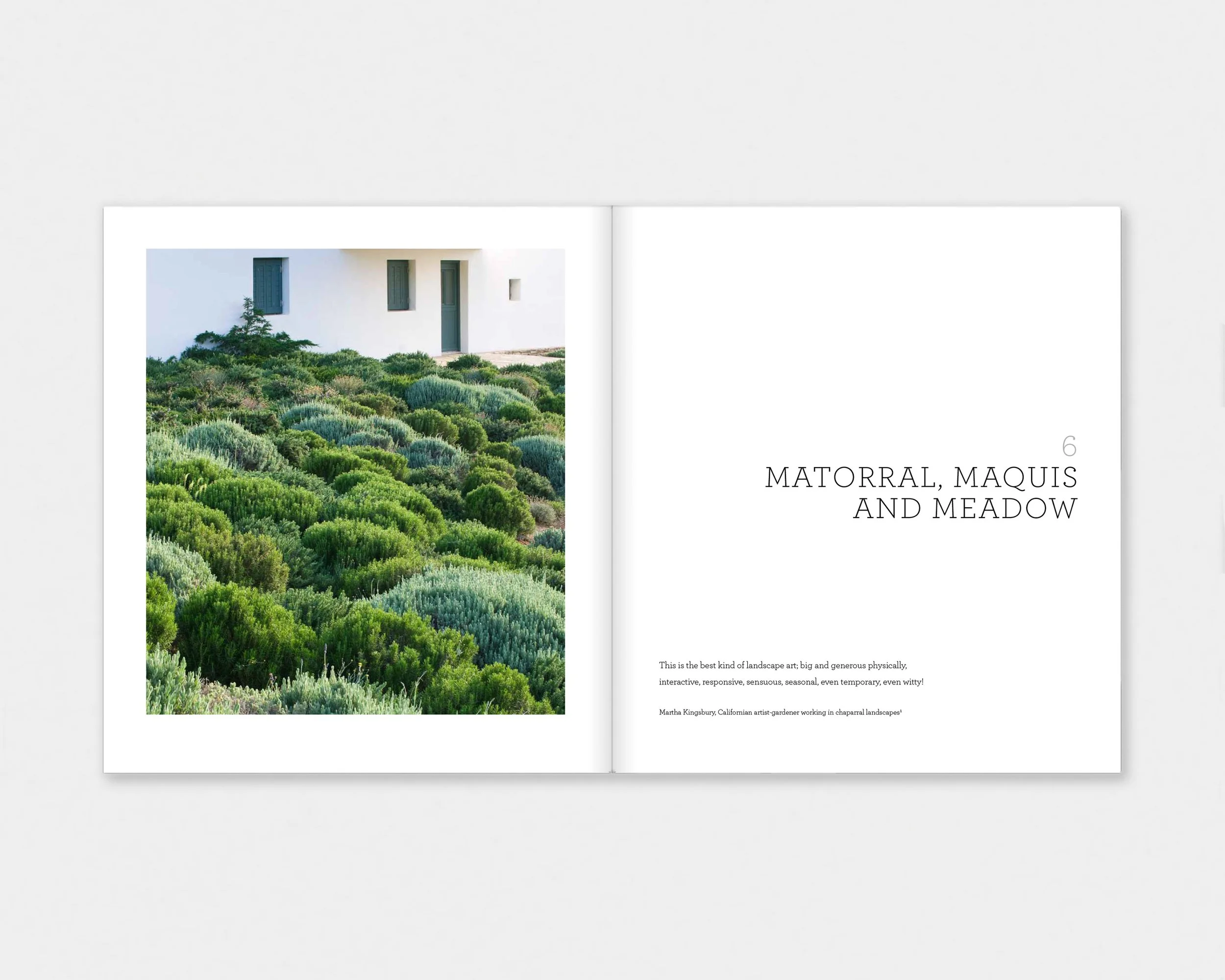 Mediterranean Landscape Design interior layout designed by Karolina Prymaka for Thames & Hudson illustrated garden book, chapter opener