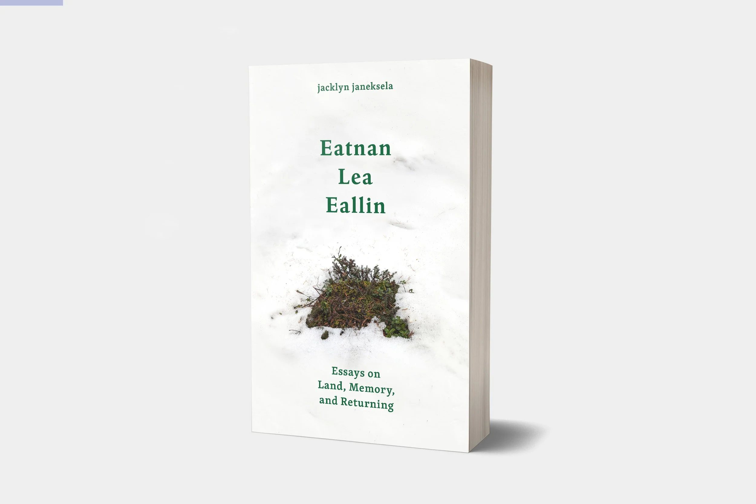 Eathan Lea Eallin Front_Paperback-Mockup wider.jpg