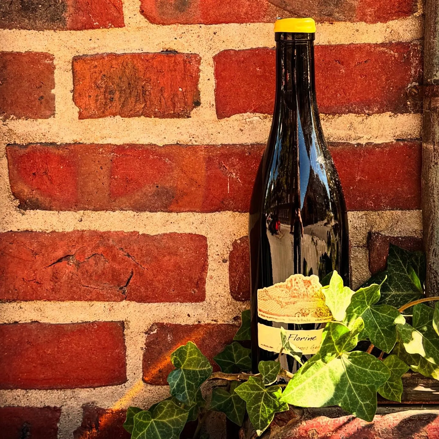 #lyrandrinks #ganevat