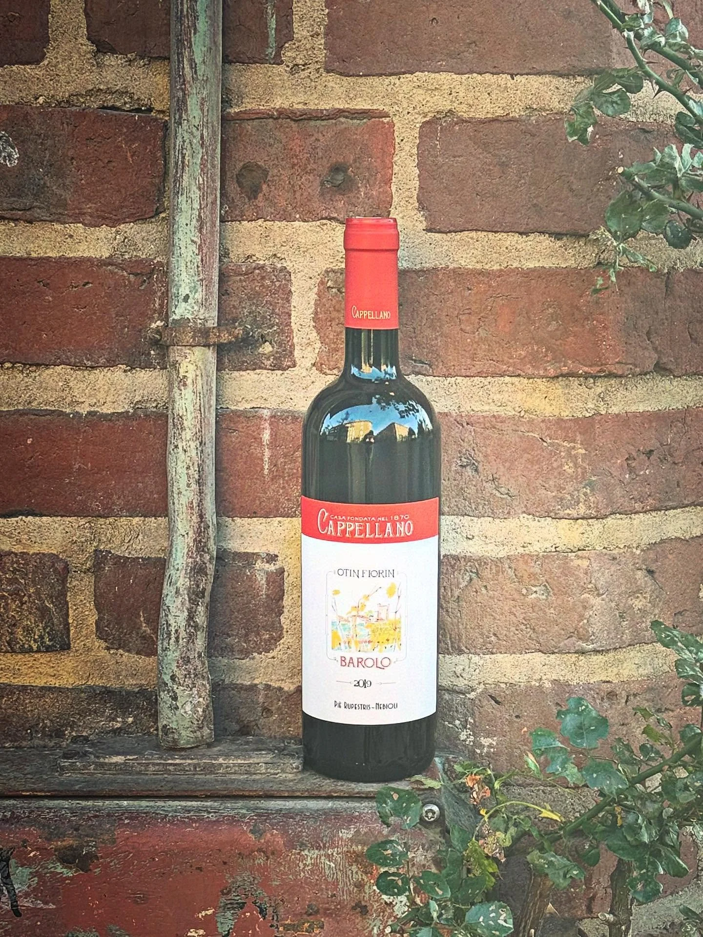 #lyrandrinks #cappellano 🍷🍂🐗🍄&zwj;🟫