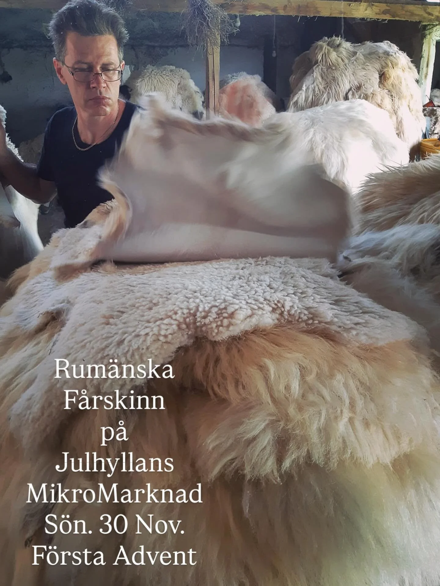 I &aring;rhundraden har rum&auml;nska f&aring;raherdar vallat sina djur i de karpatiska bergen och &ouml;ver Transylvaniens kullar. De g&ouml;r det &auml;nnu, men m&ouml;ts av st&ouml;rre utmaningar &auml;n kanske n&aring;gon g&aring;ng tidigare. Sto