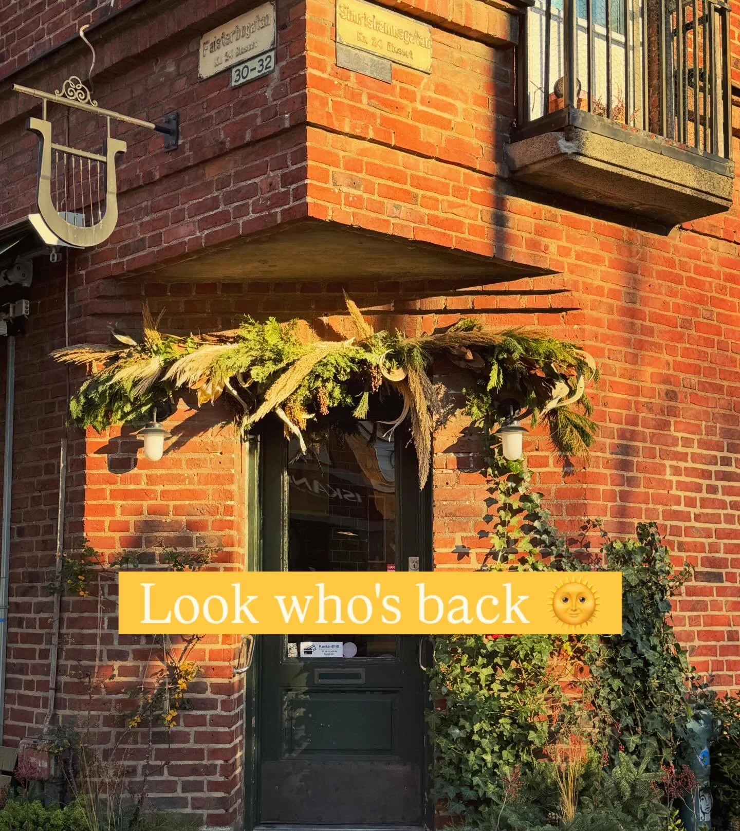 The corner is well and truly turned, Dear Friends!
We climb the celestial hill towards brighter days 🌞🎄❤️
#jul #yule #j&oacute;l