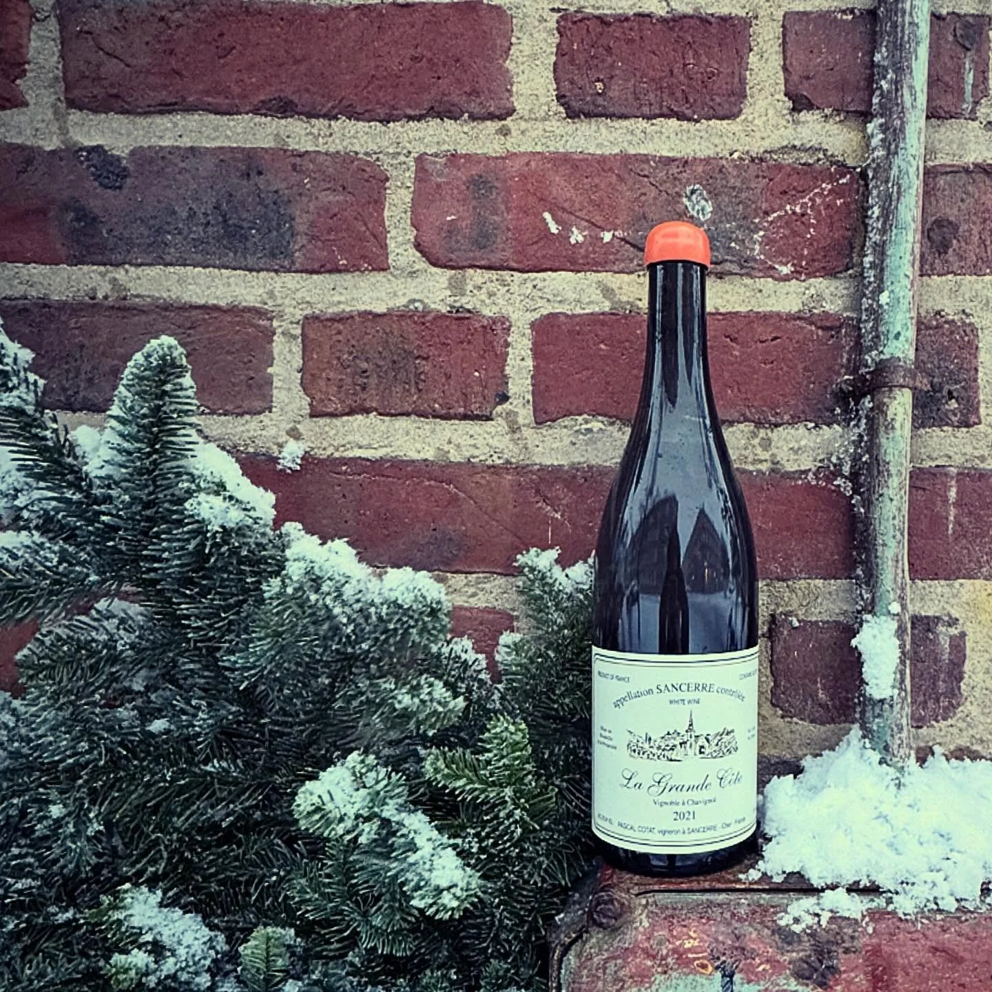 Pascal Cotat, La Grande C&ocirc;te #lyrandrinks #pascalcotat