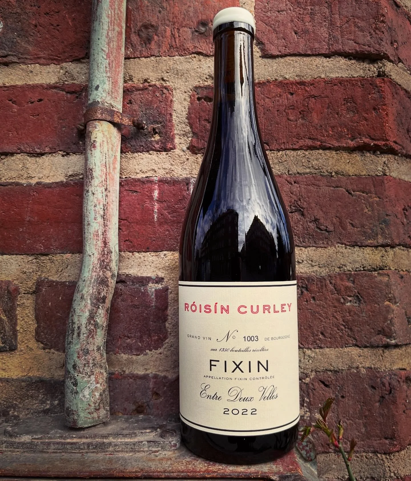 #lyrandrinks #r&oacute;is&iacute;ncurley