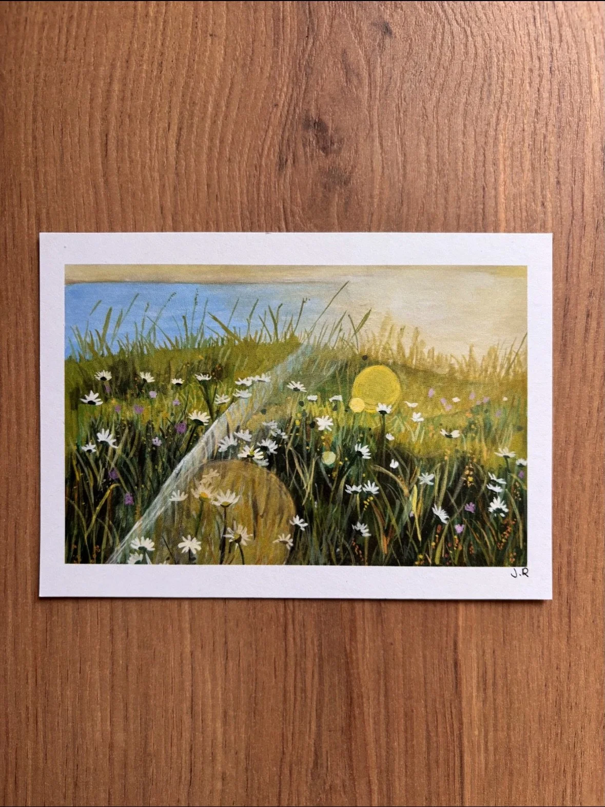 This one came from thinking about those slow evenings when everything starts to feel a bit warmer again.
The grass getting taller, daisies starting to come through, and that soft golden light settling in 🌼