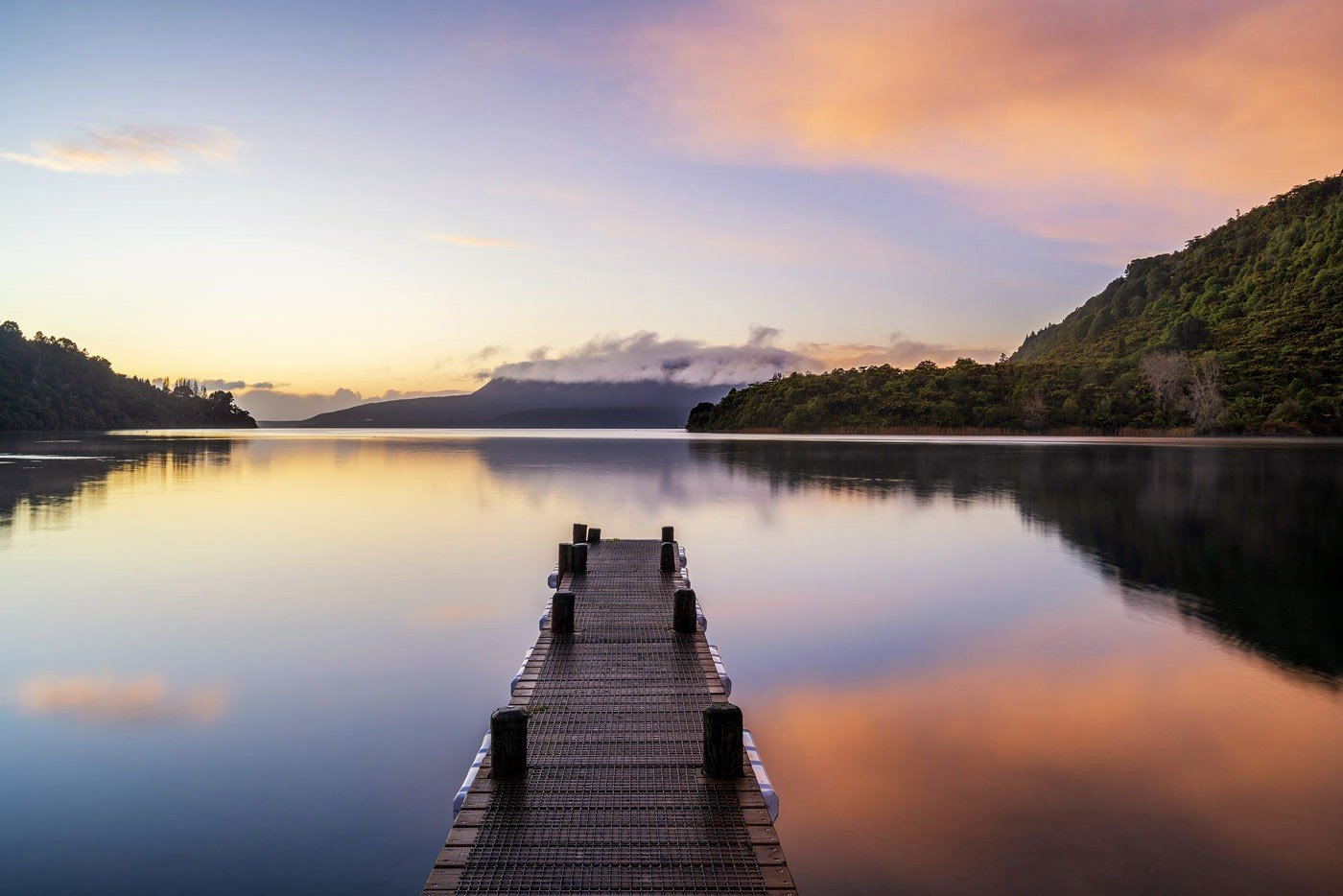 Building in Rotorua: what to know before you start