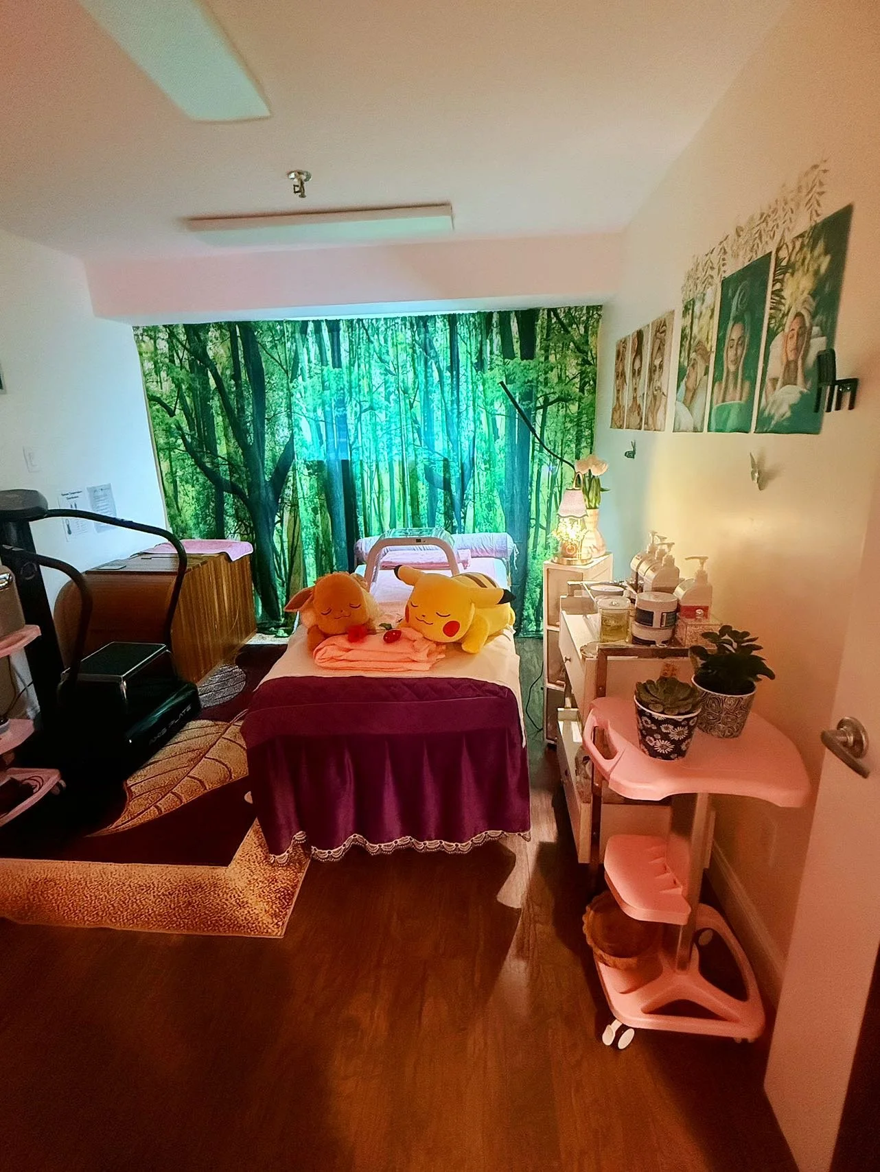 Private facial and spa room