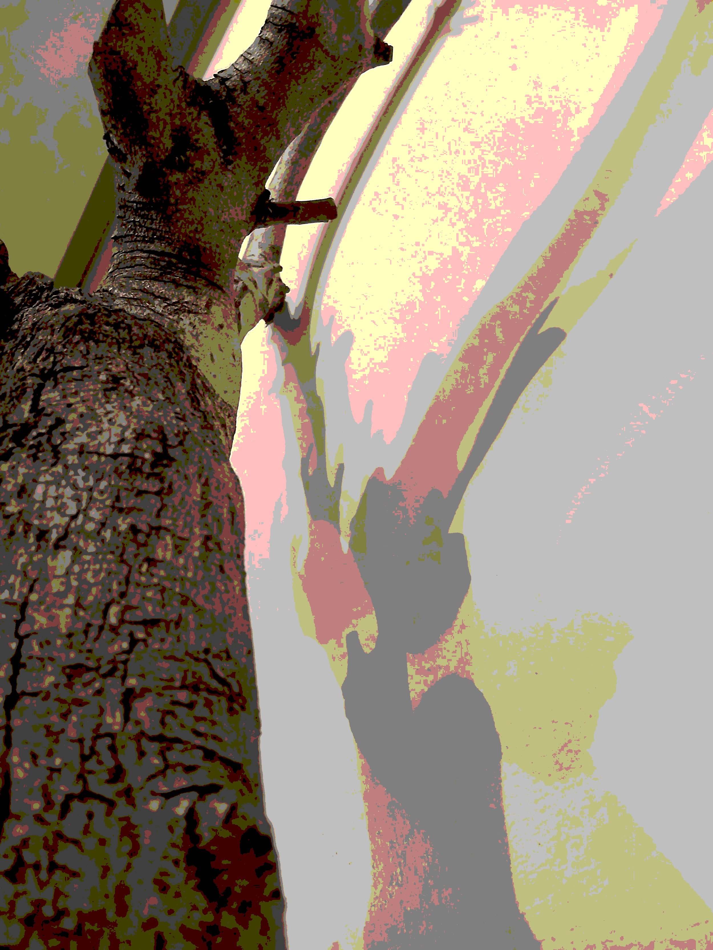 Plain Aesthetic Glass Barbecue Containers