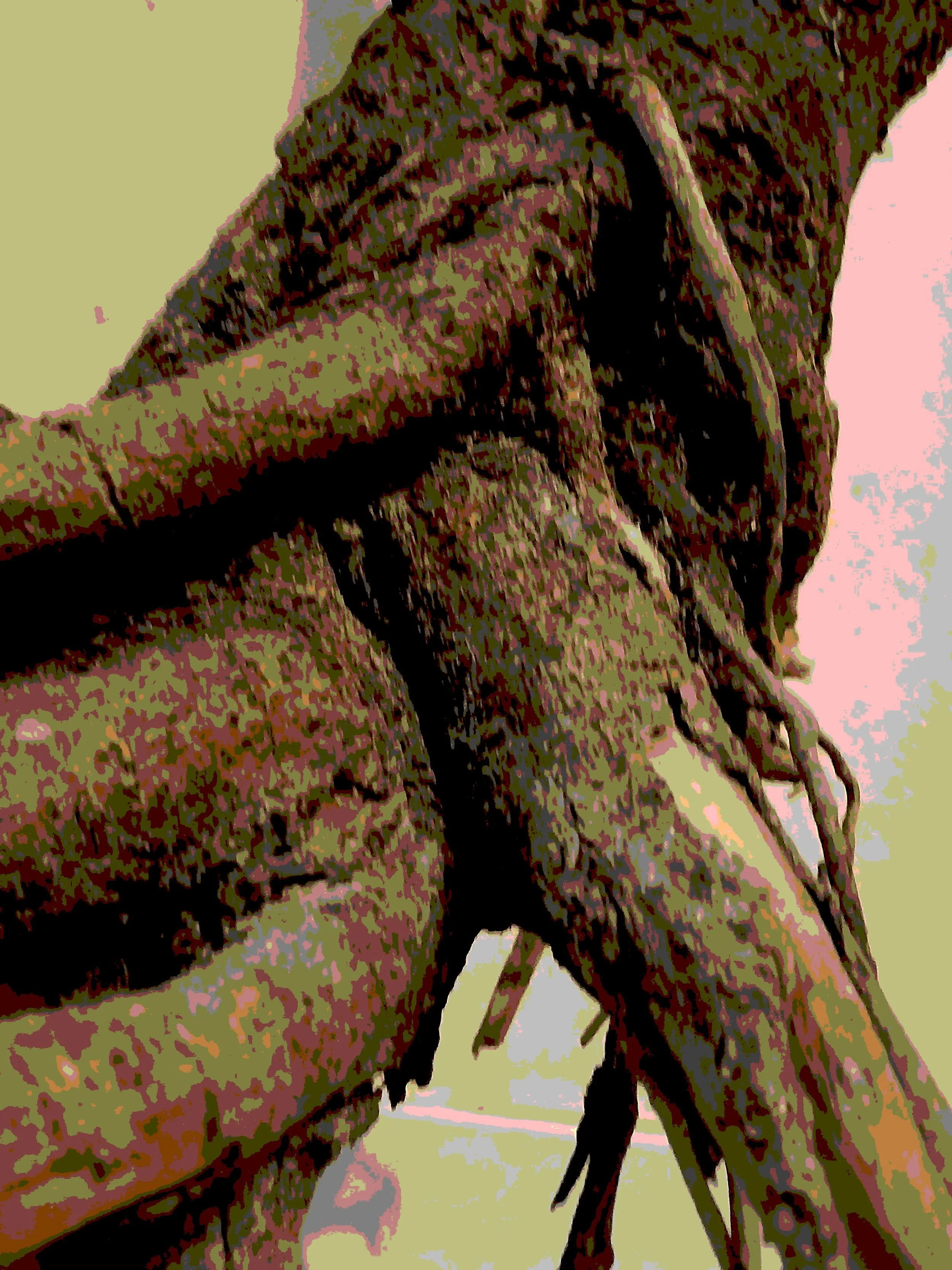 Plain Aesthetic Glass Barbecue Containers