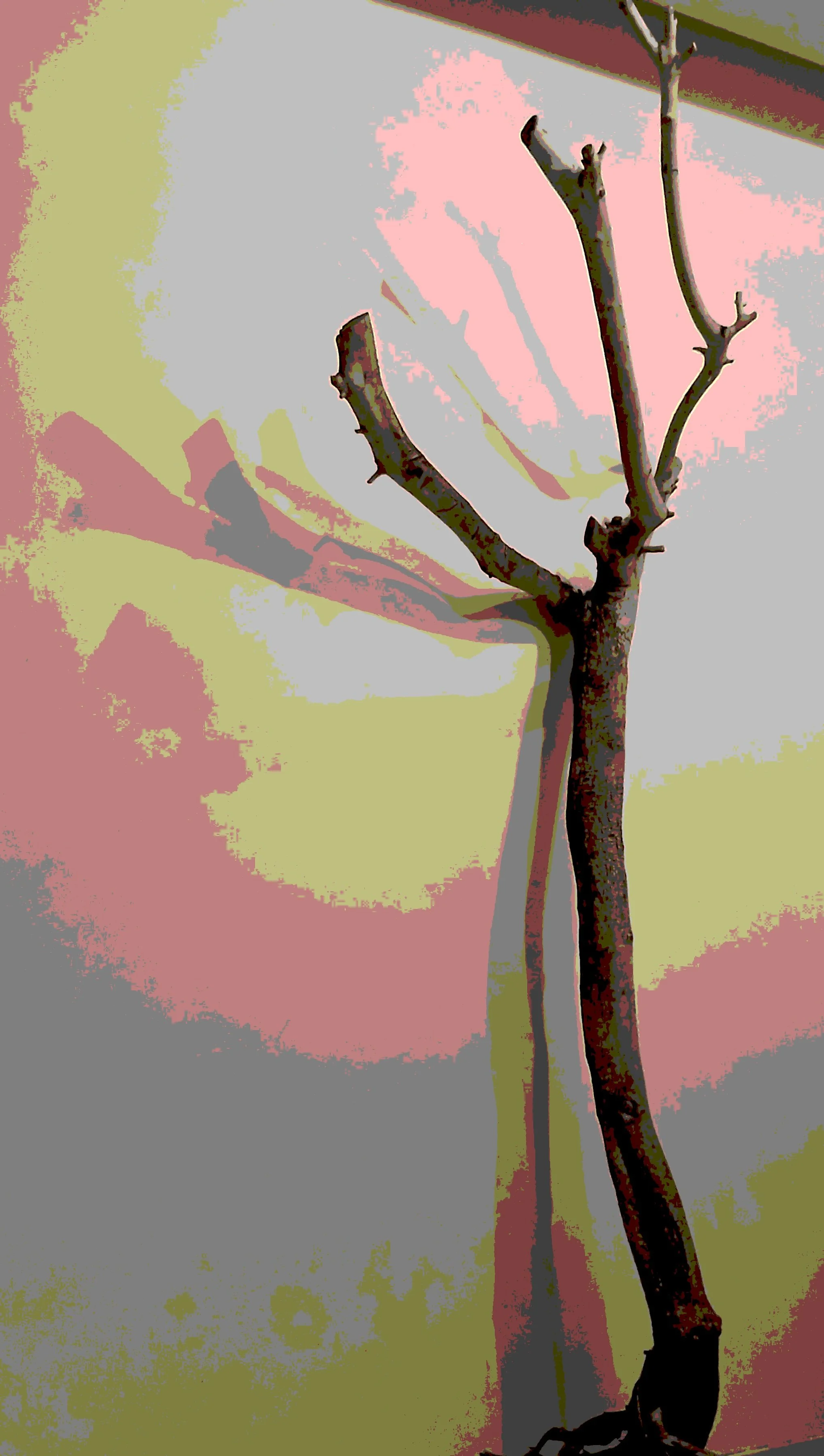 Plain Aesthetic Glass Barbecue Containers