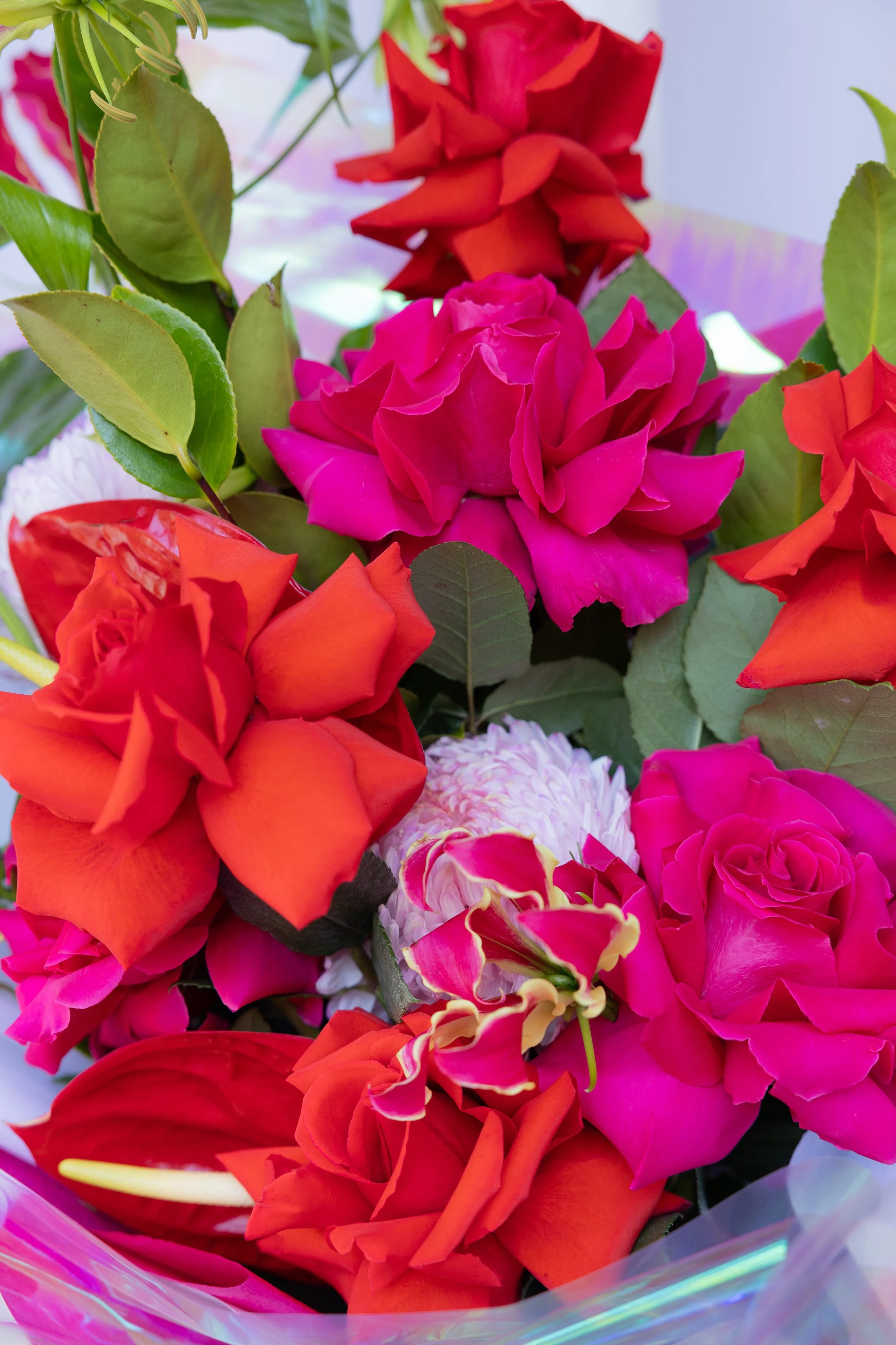 BlumeMothersDay_-83.jpg