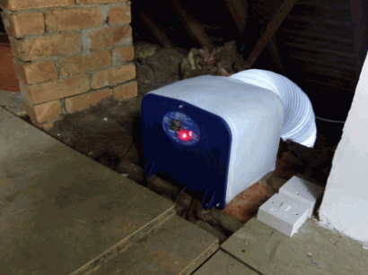 A small animal, possibly a cat or a raccoon, is sitting inside a pet dryer device in a patio or yard area, with bricks and wooden structures nearby.