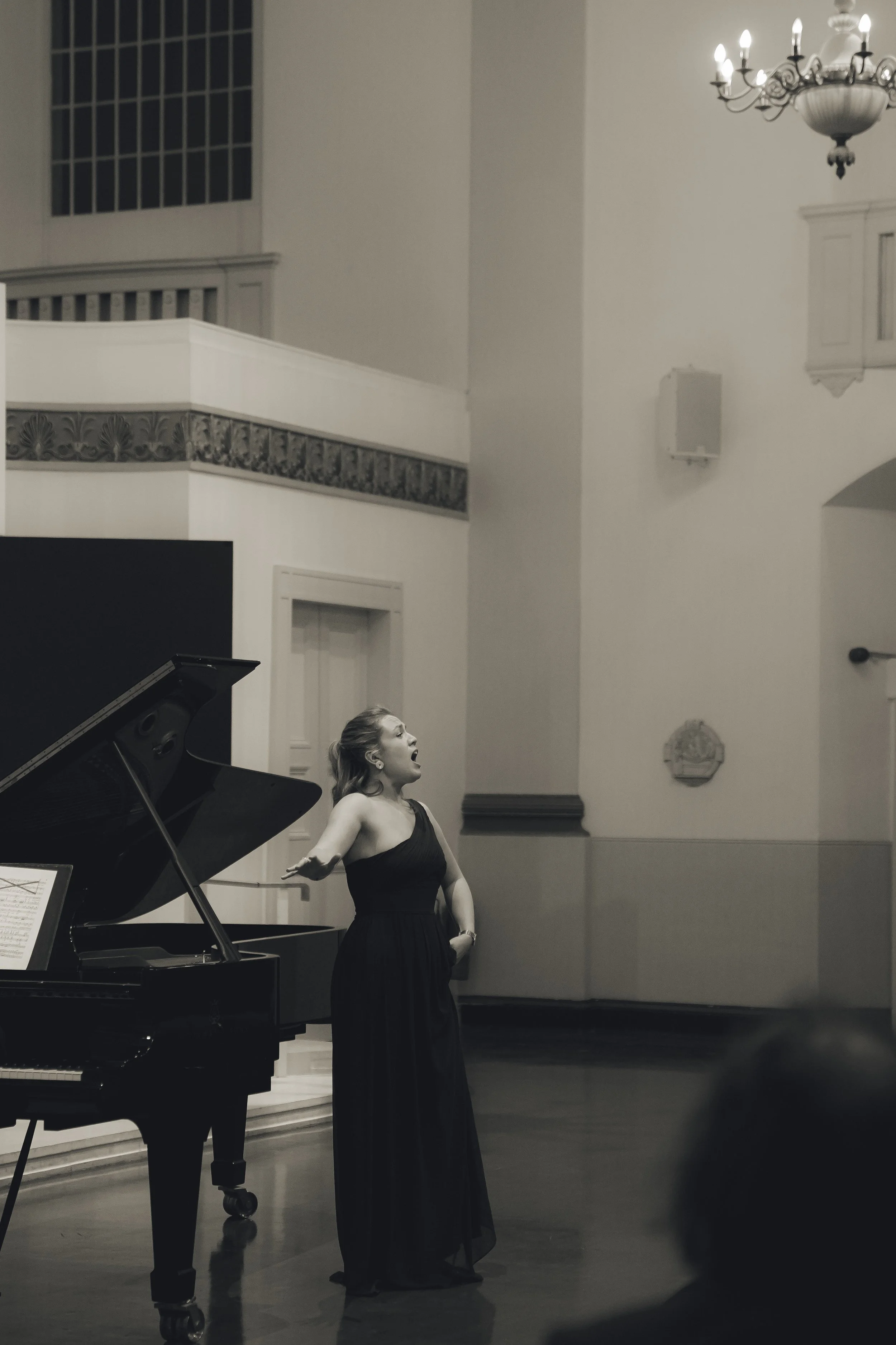 Wild Arts: Opera Evening 