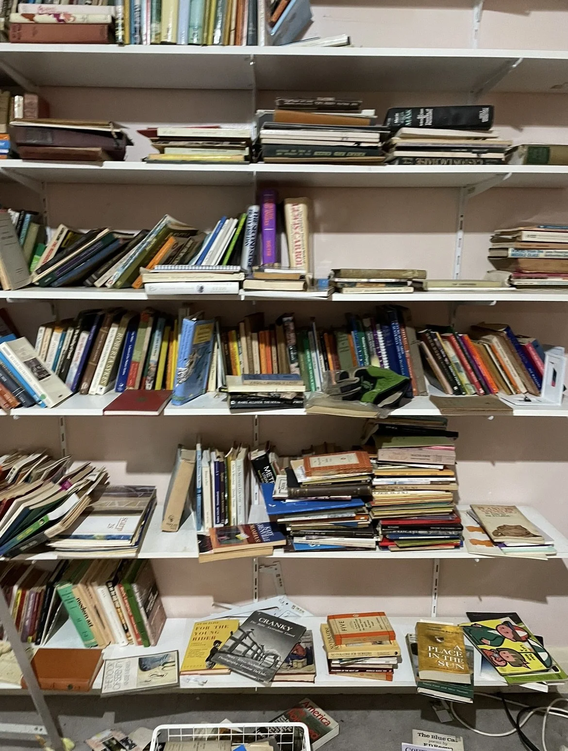 Bookshelves filled with numerous books, some stacked horizontally and others vertically, in a cluttered library or bookstore setting.