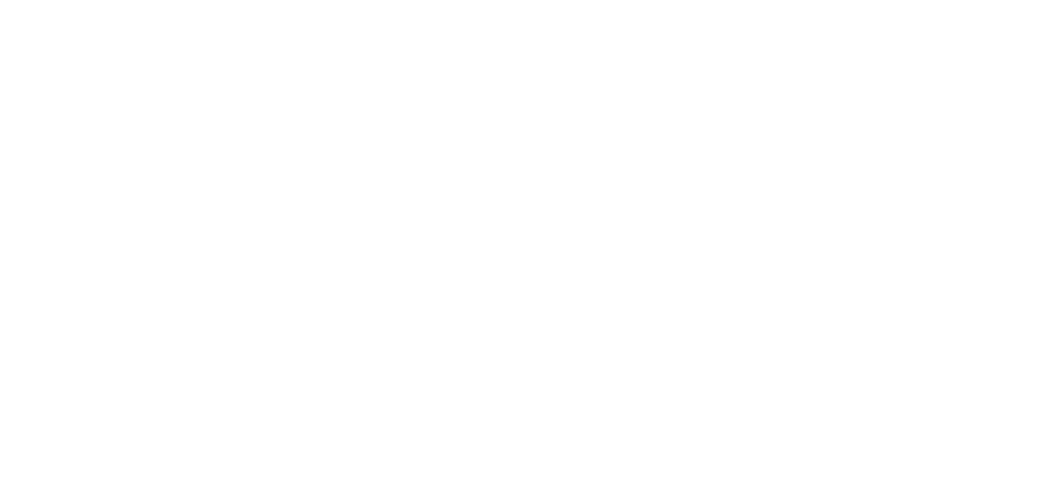 Chasing Swans
