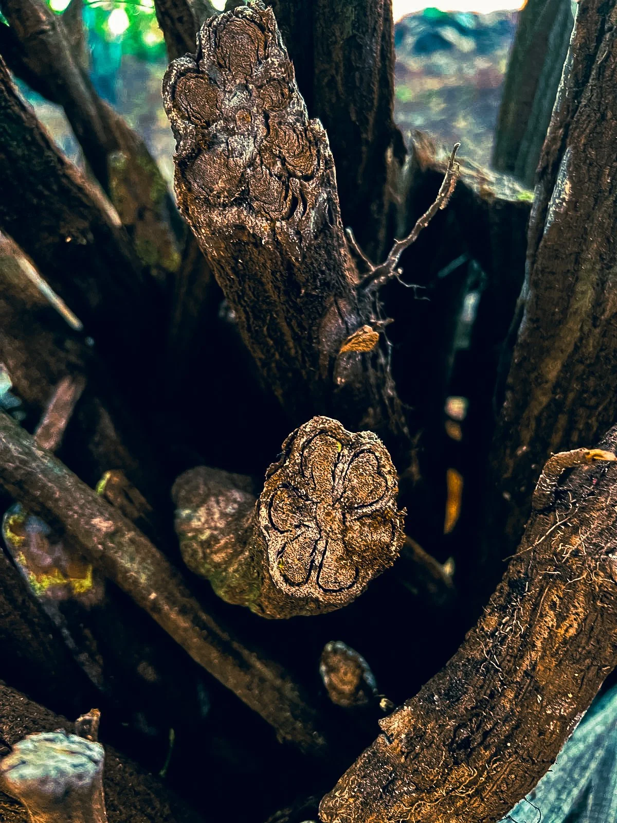 WhatsApp Image 2025-06-15 at 19.27.32.jpg