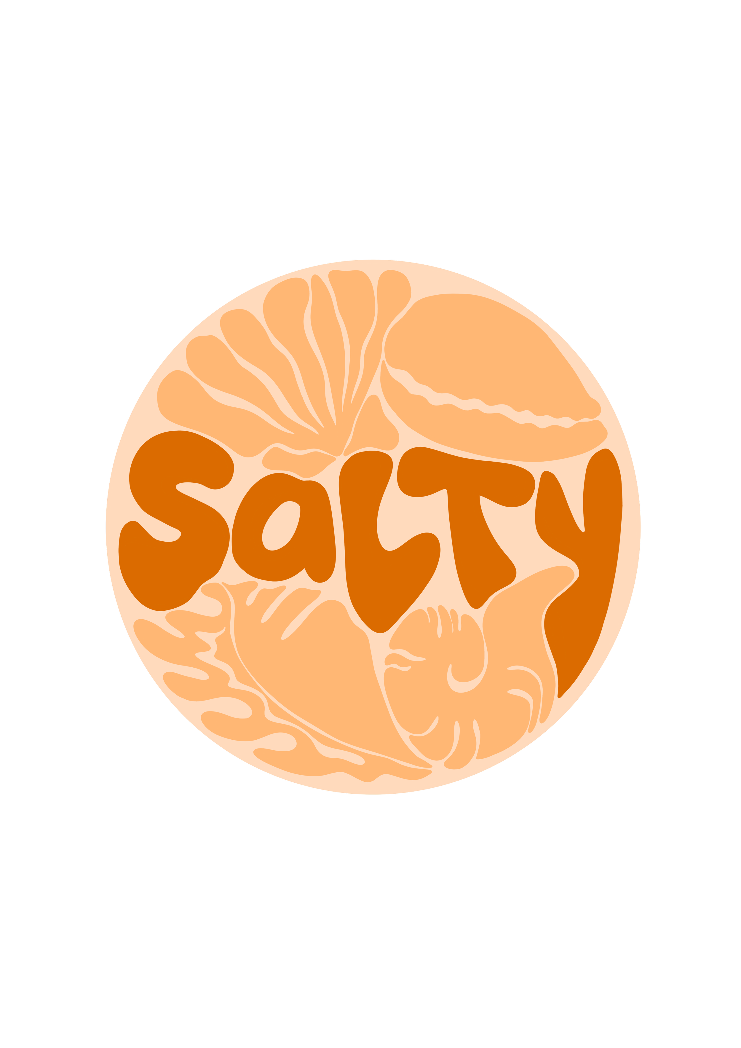 Salty Jewellery Custom Logo Saltwater Tones used.png