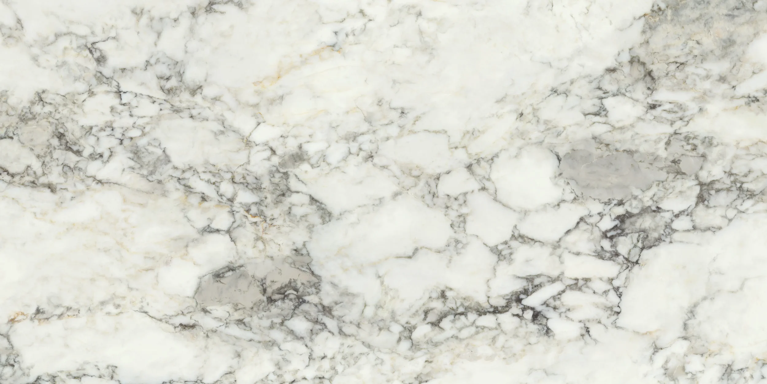 Calacatta_Strata_60x120 (3).webp