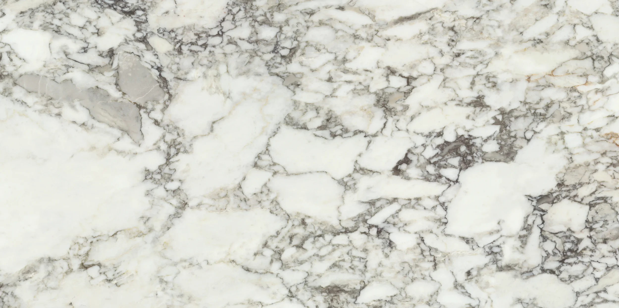Calacatta_Strata_60x120 (2).webp