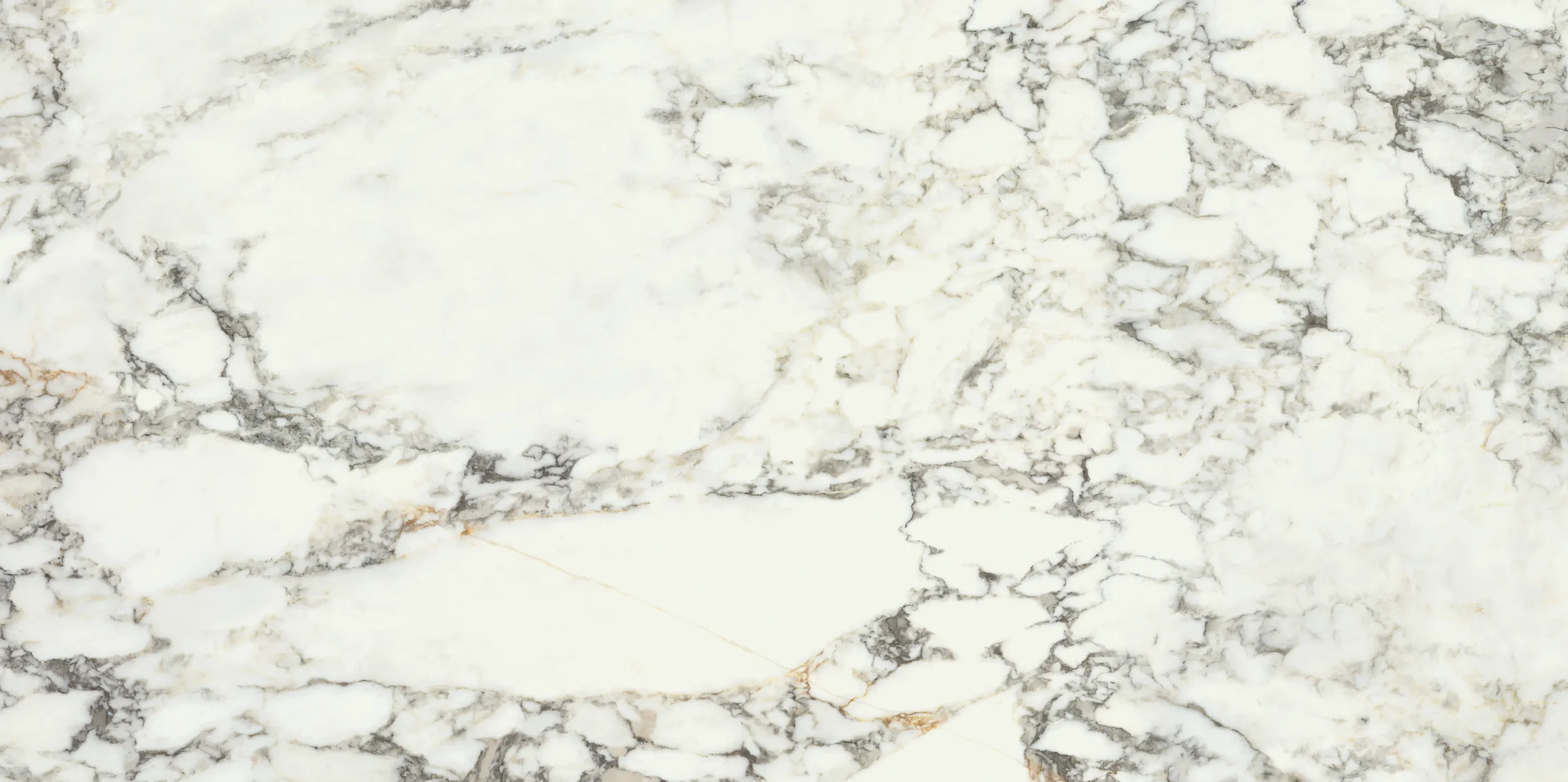 Calacatta_Strata_60x120.webp
